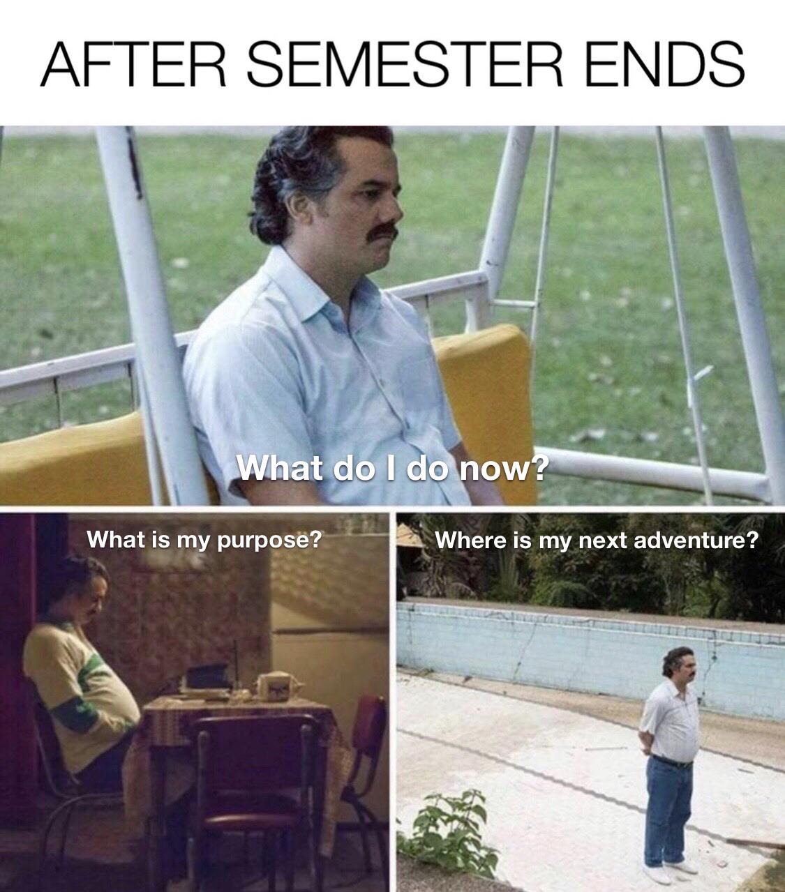 After Semester Ends r/memes