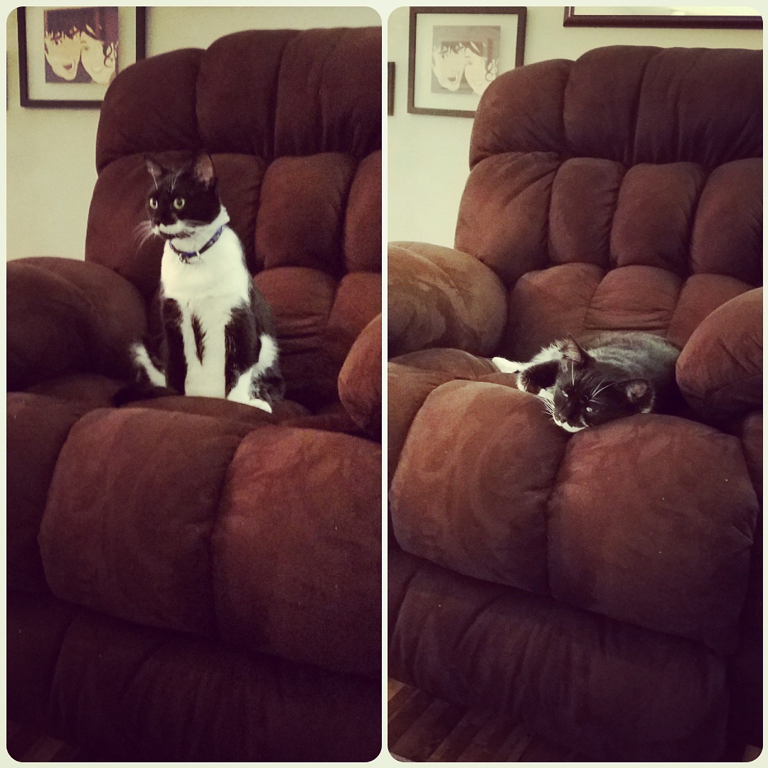 I bought a new recliner for my husband, but the only place it fit was
