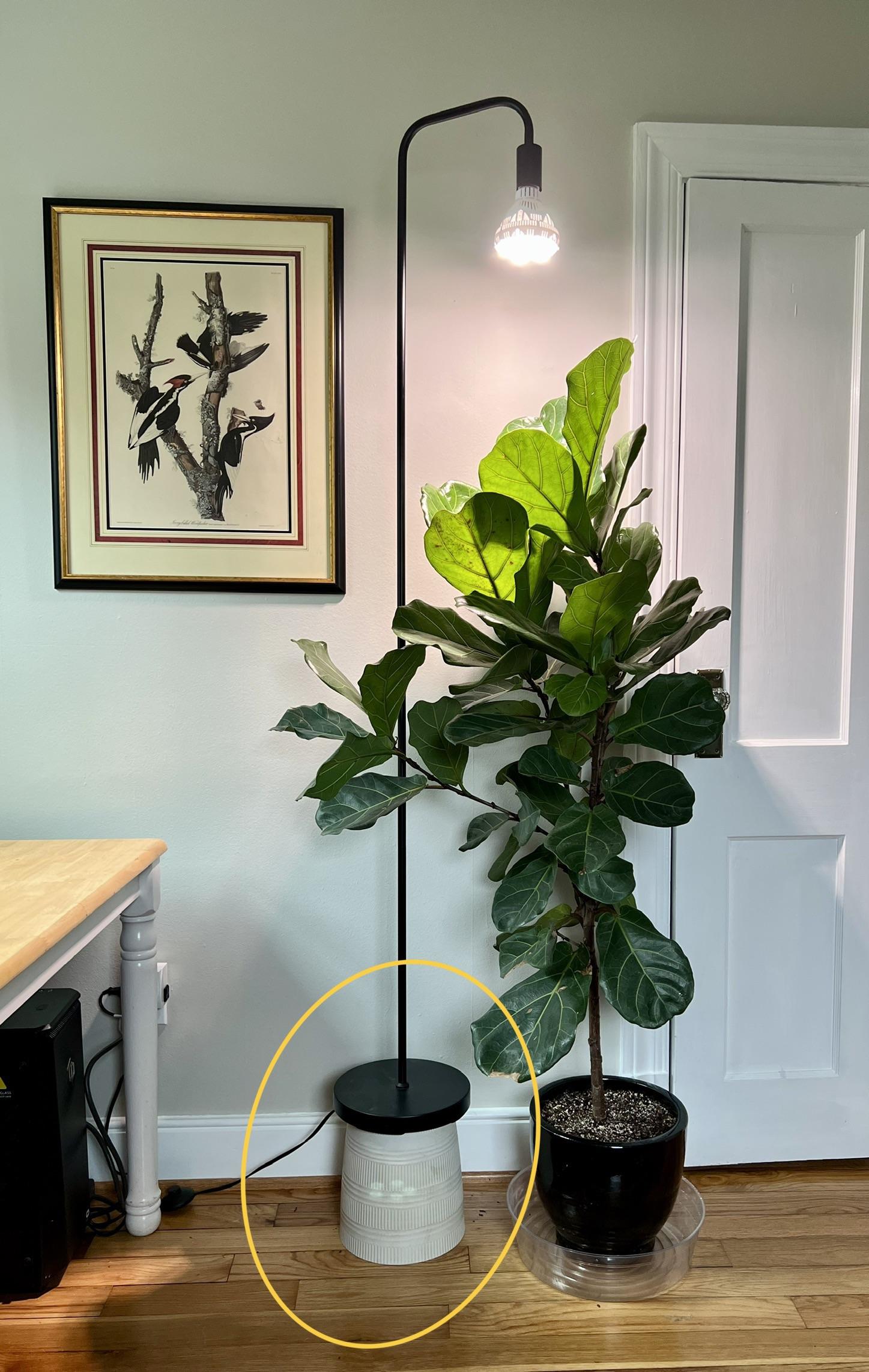 grow light setup for really tall boys (5’6’) any hacks or