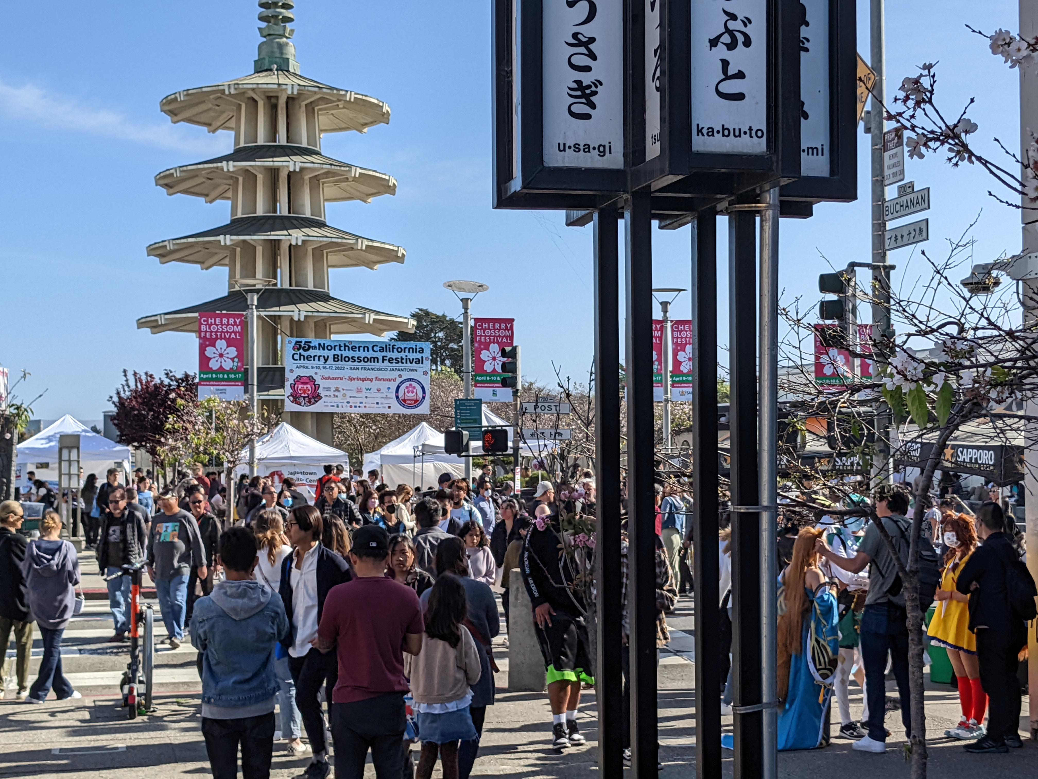 Japantown cherry blossom festival r/sanfrancisco
