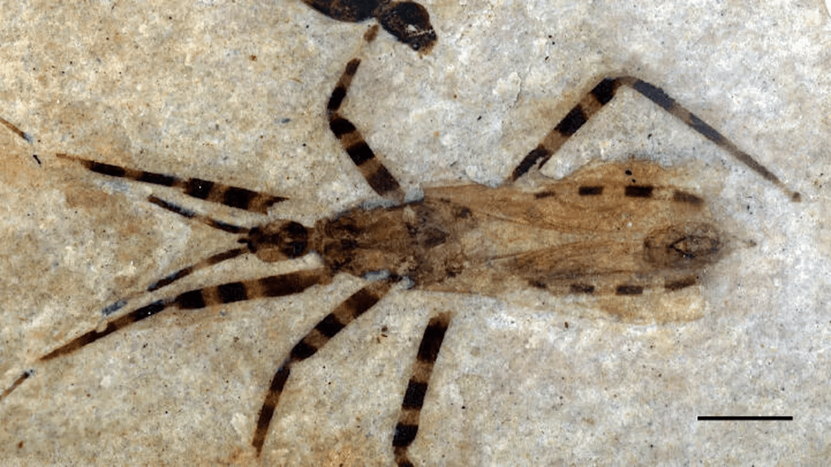 Reddit Dive into anything