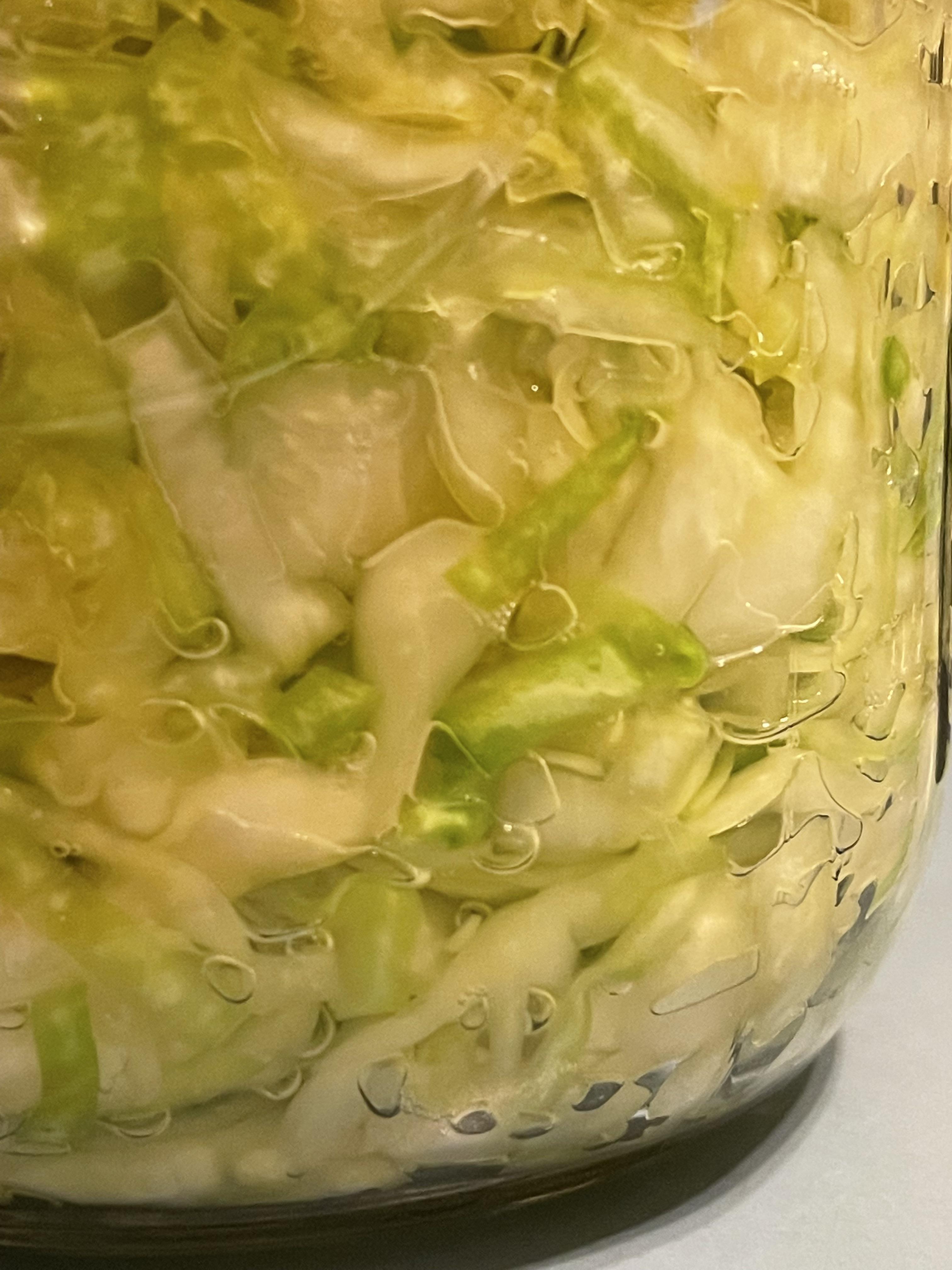 First time making sauerkraut. 4 days in and when I burp it it smells