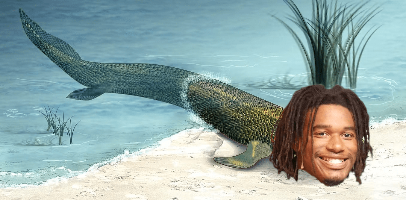 430 million years ago, life first walks on land r/NFCNorthMemeWar