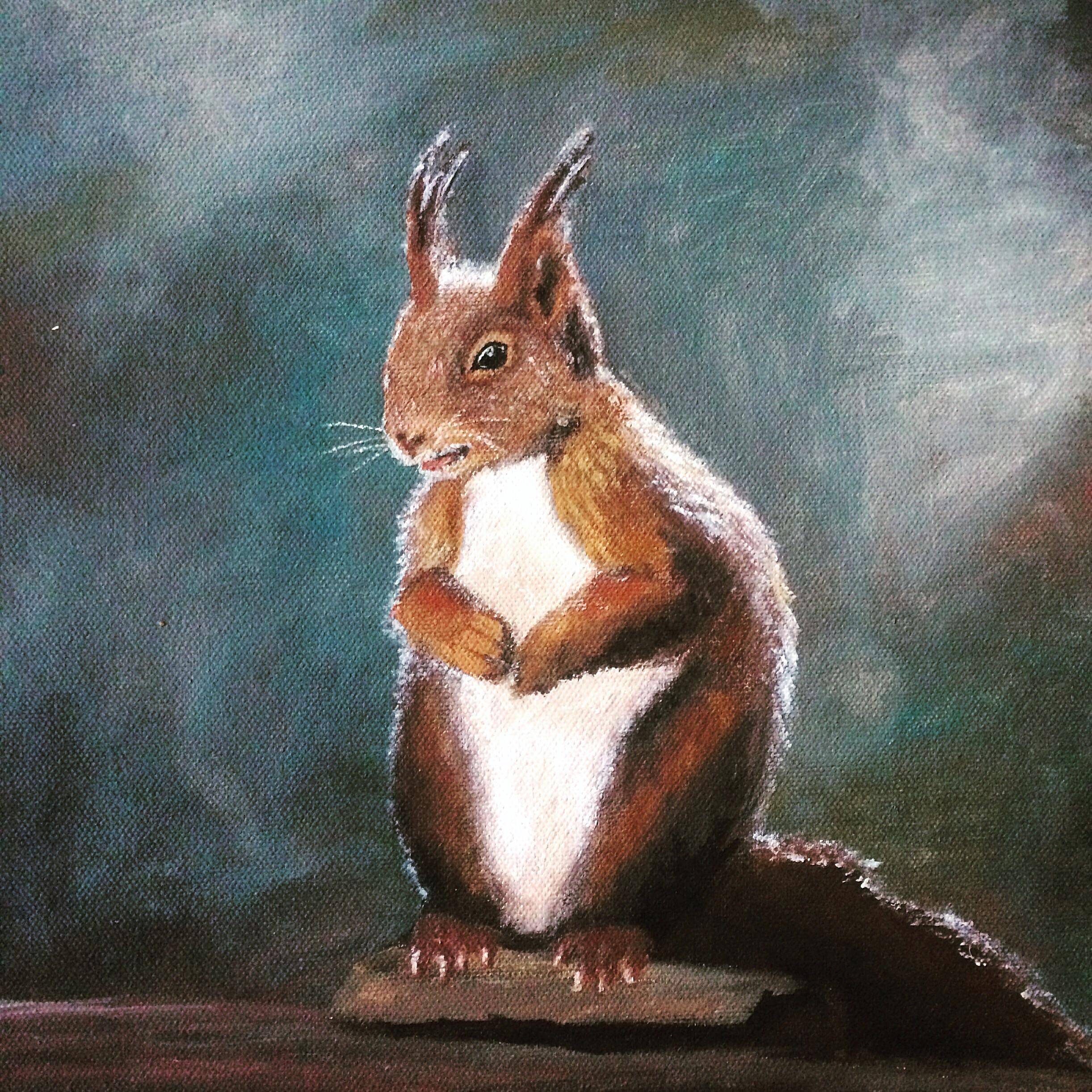 Squirrel, acrylic 30cm x 30cm r/Art