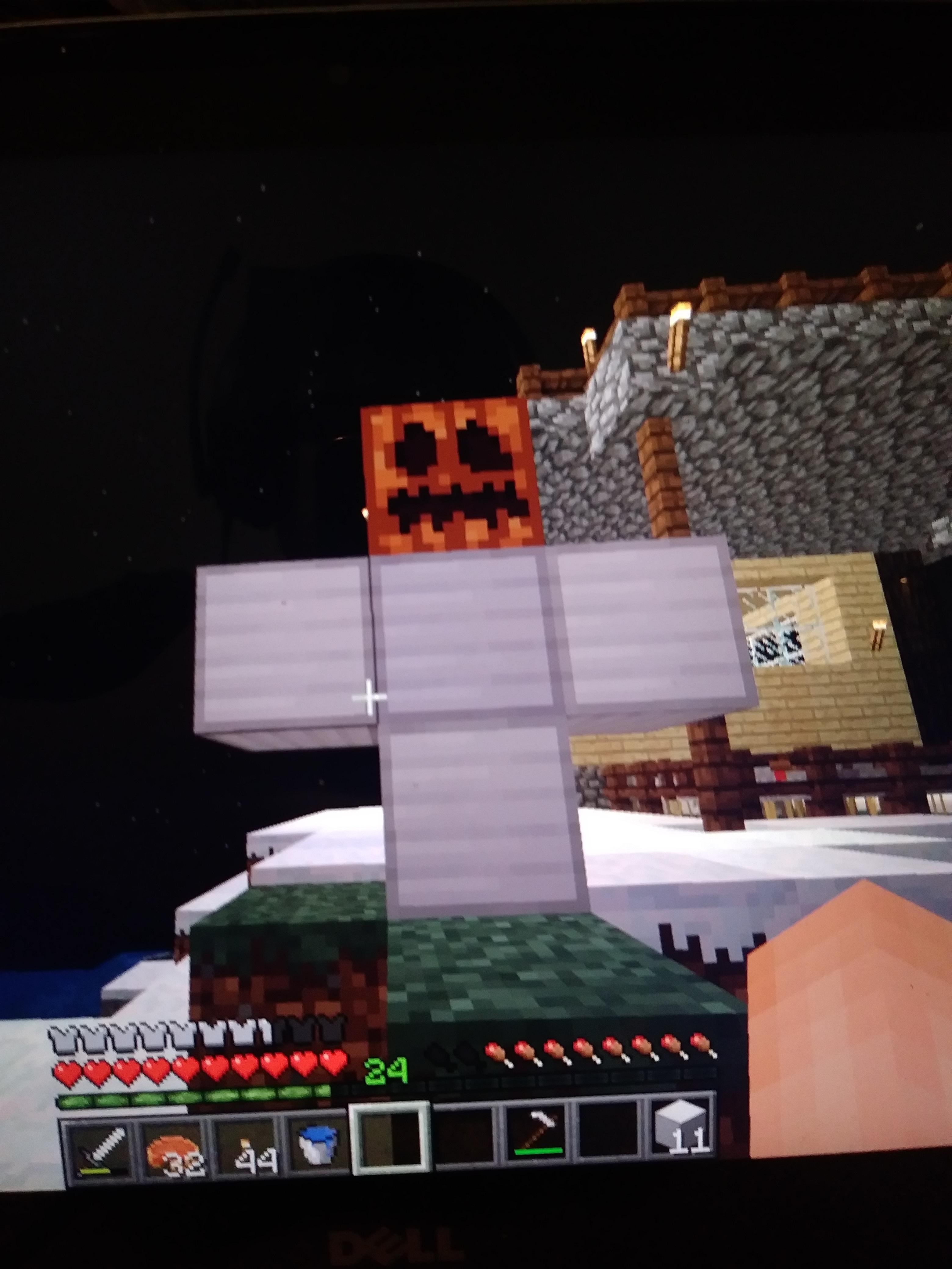 Why isnt this working r/Minecraft