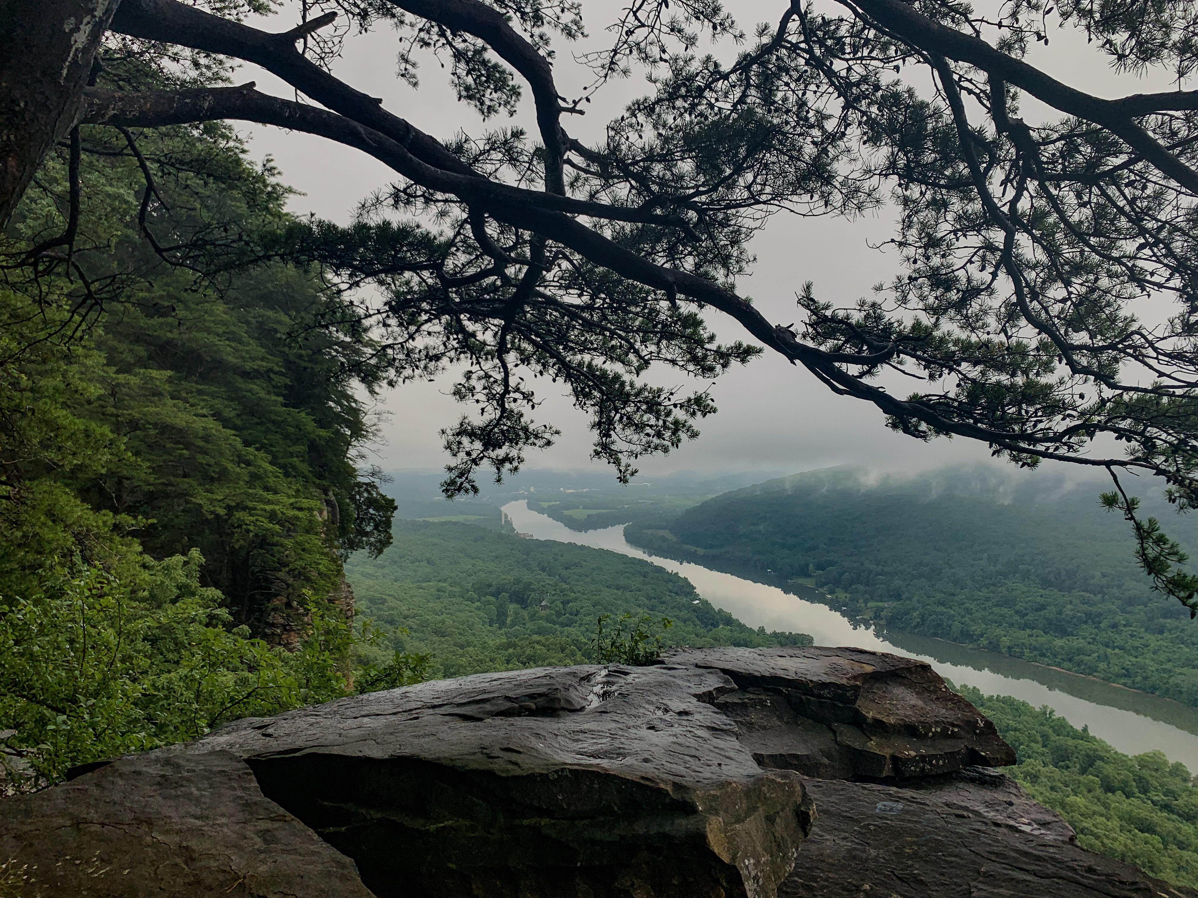 took a road trip to tennessee on a whim this weekend. cumberland trail