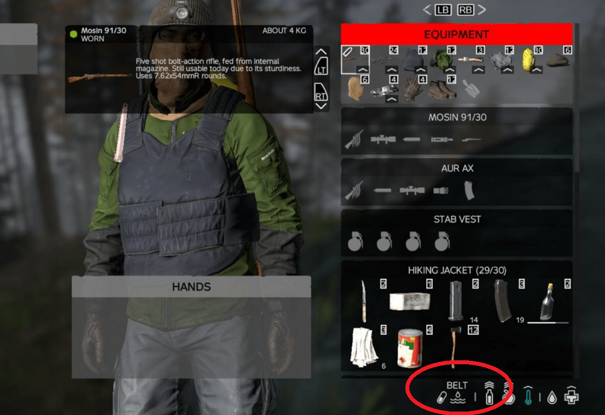 Why does it suddenly say "BELT" in my status bar? r/dayz