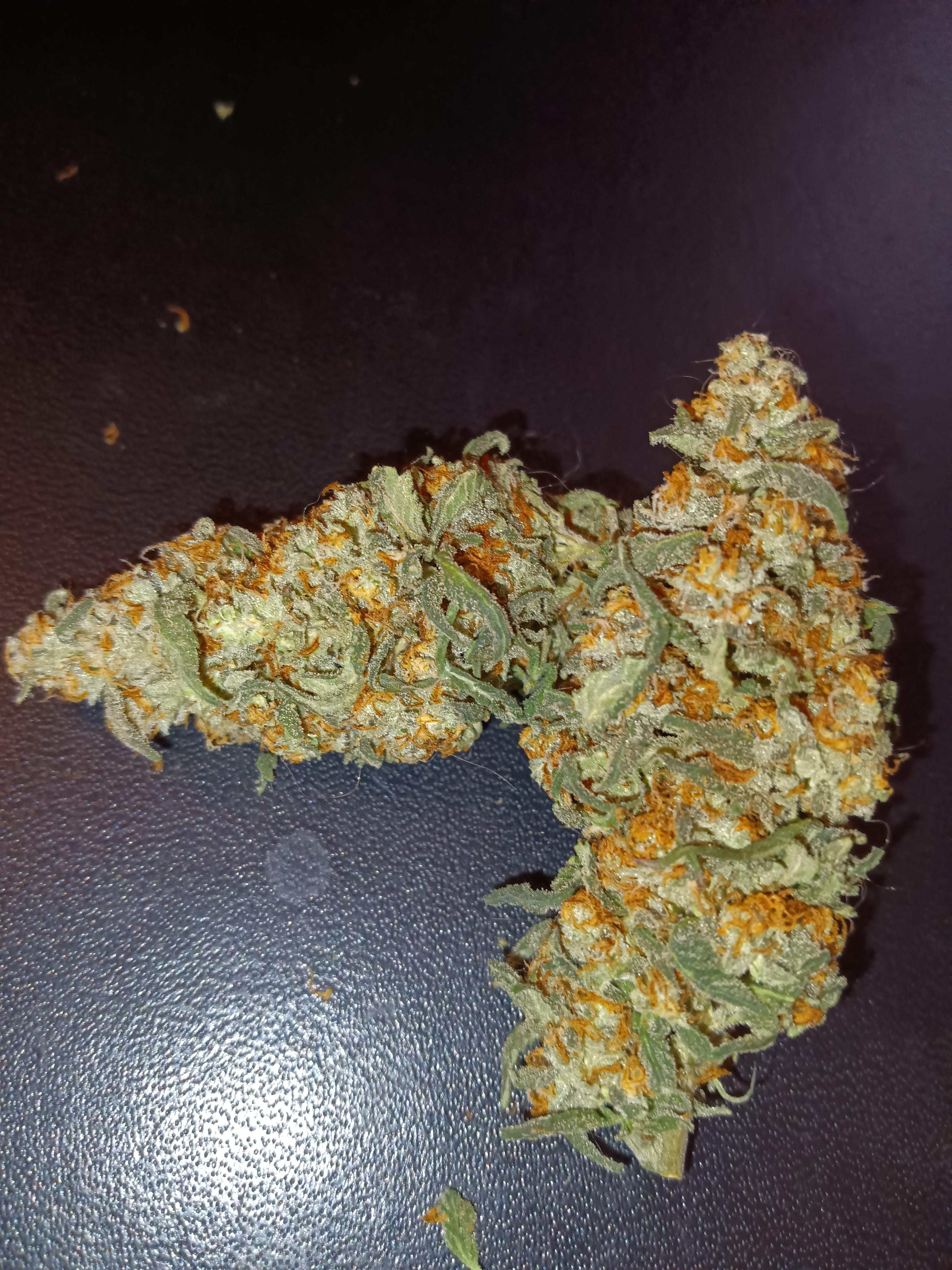 Peanut Butter Breath, Humboldt Org r/Craftmarijuana