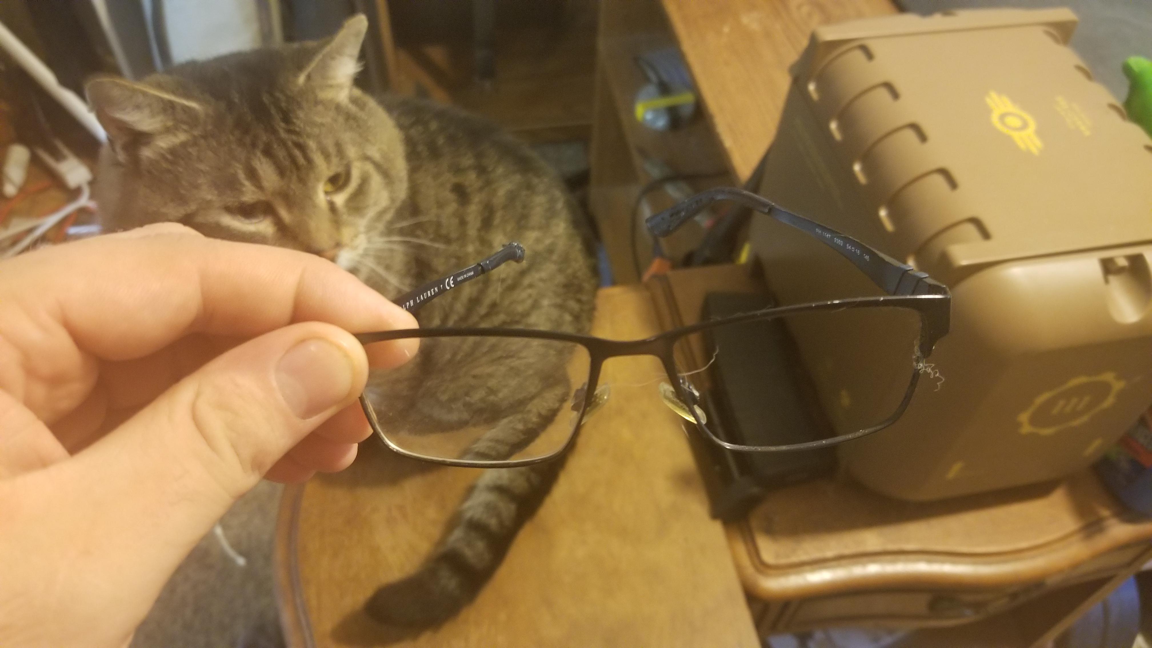 Roommate's new puppy ate my glasses. I have to go to work and dont have