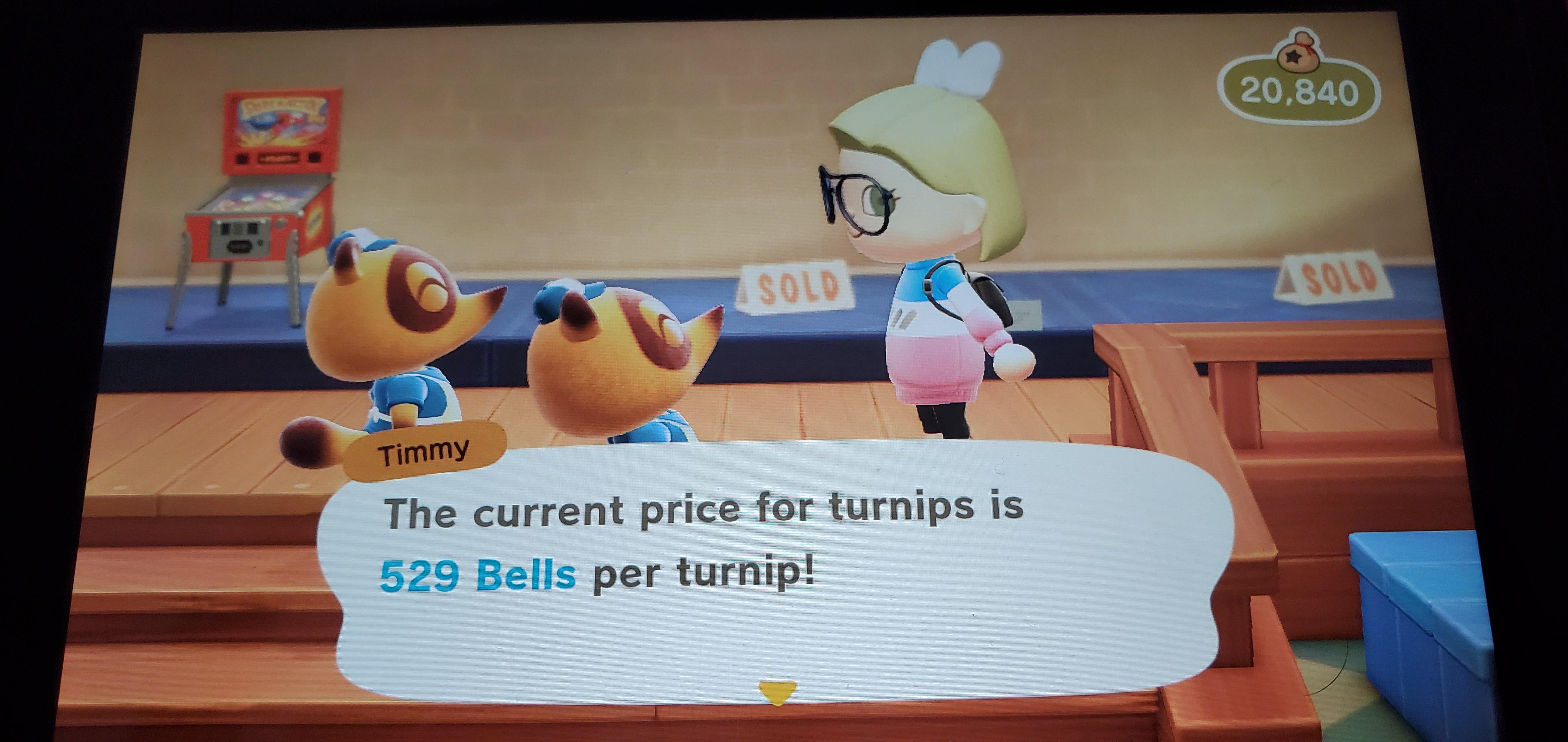Turnip prices 529!!! I have a free diy area youre more than to