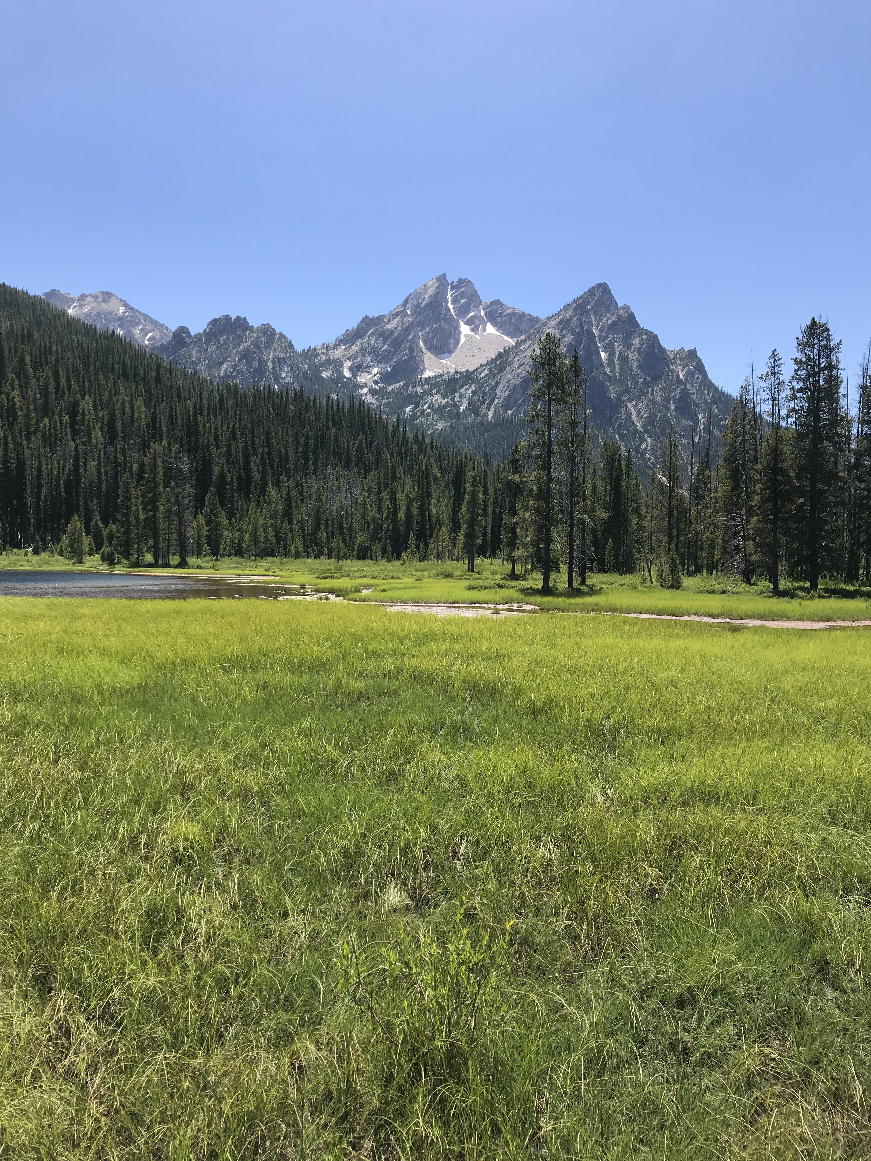 Sawtooth Mountains near Stanley, Idaho USA [1334x750][OC] r/EarthPorn