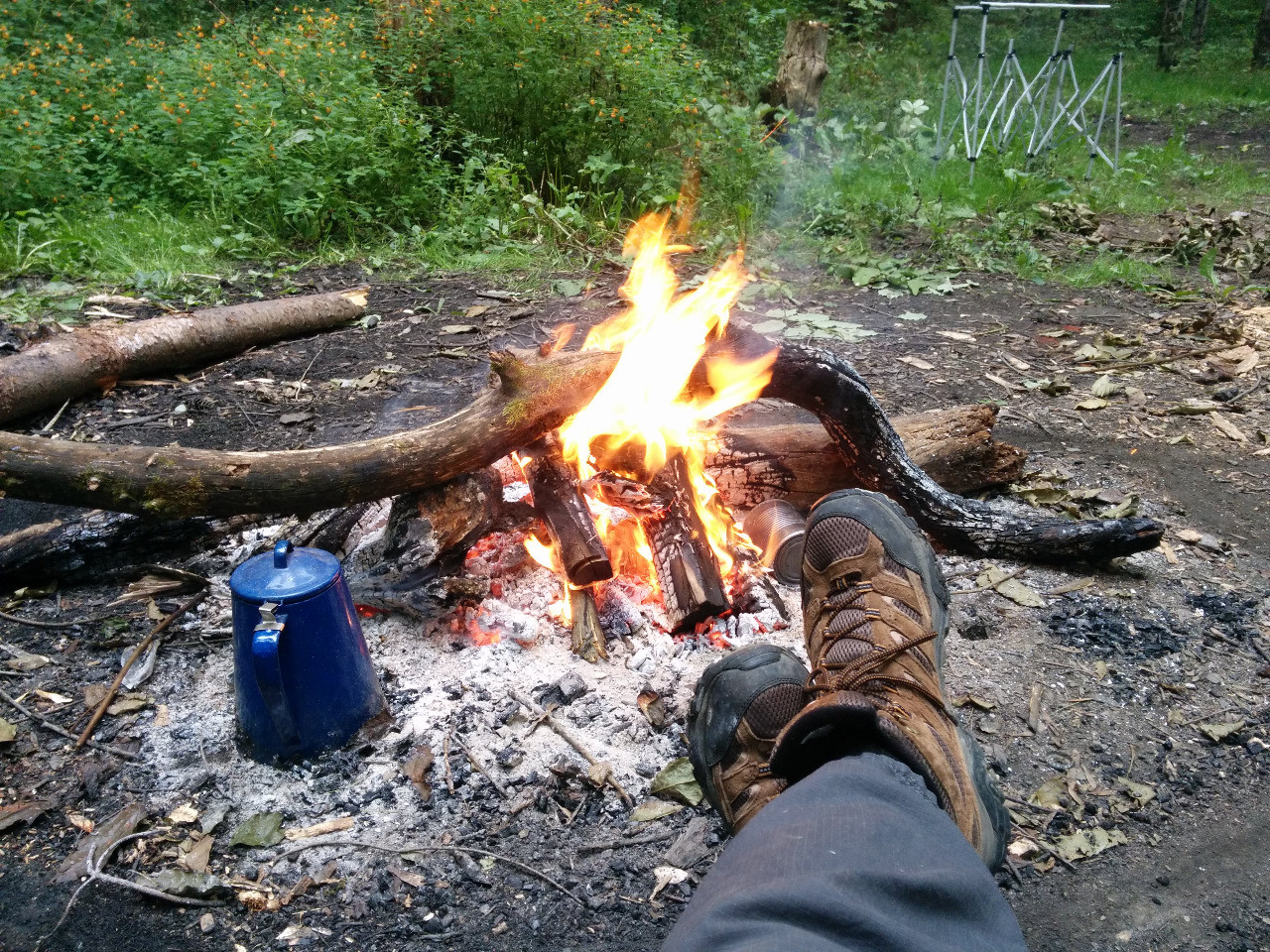 East Otto Forest, NY Best part of waking up... r/camping
