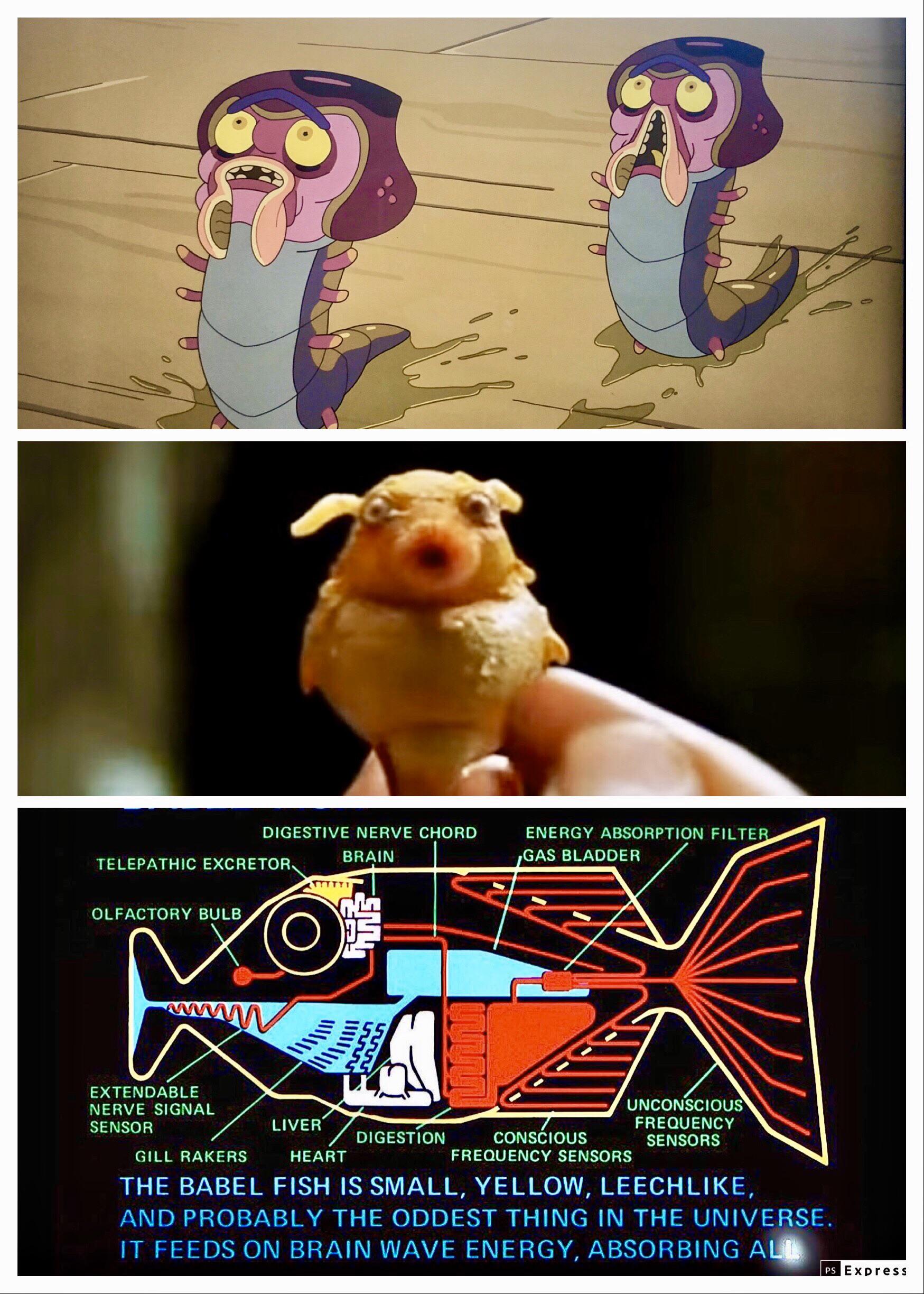 Same difference Voiceovarians and the Babel fish from ‘Hitchhiker’s