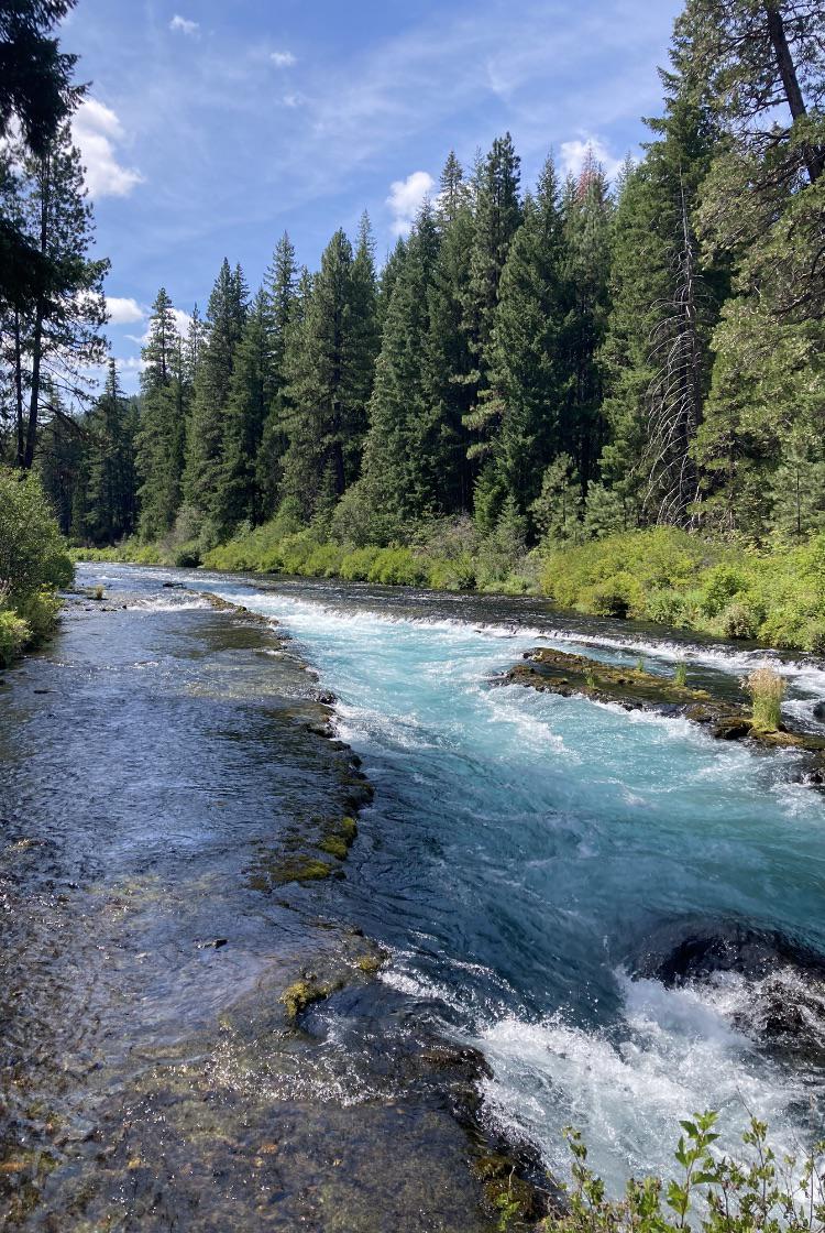 Metolius River, Oregon r/oregon