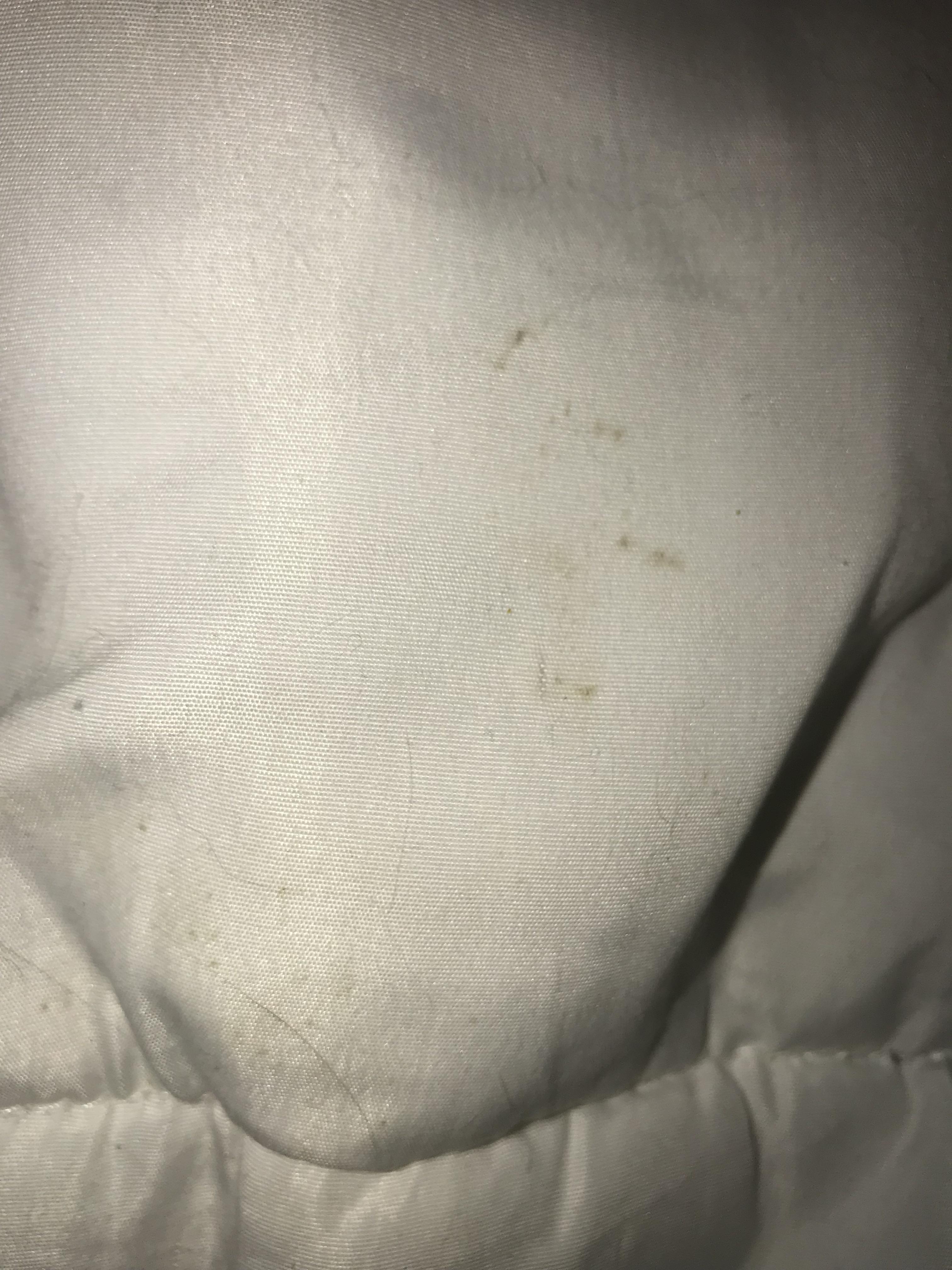 Are these bed bug spots r/Bedbugs