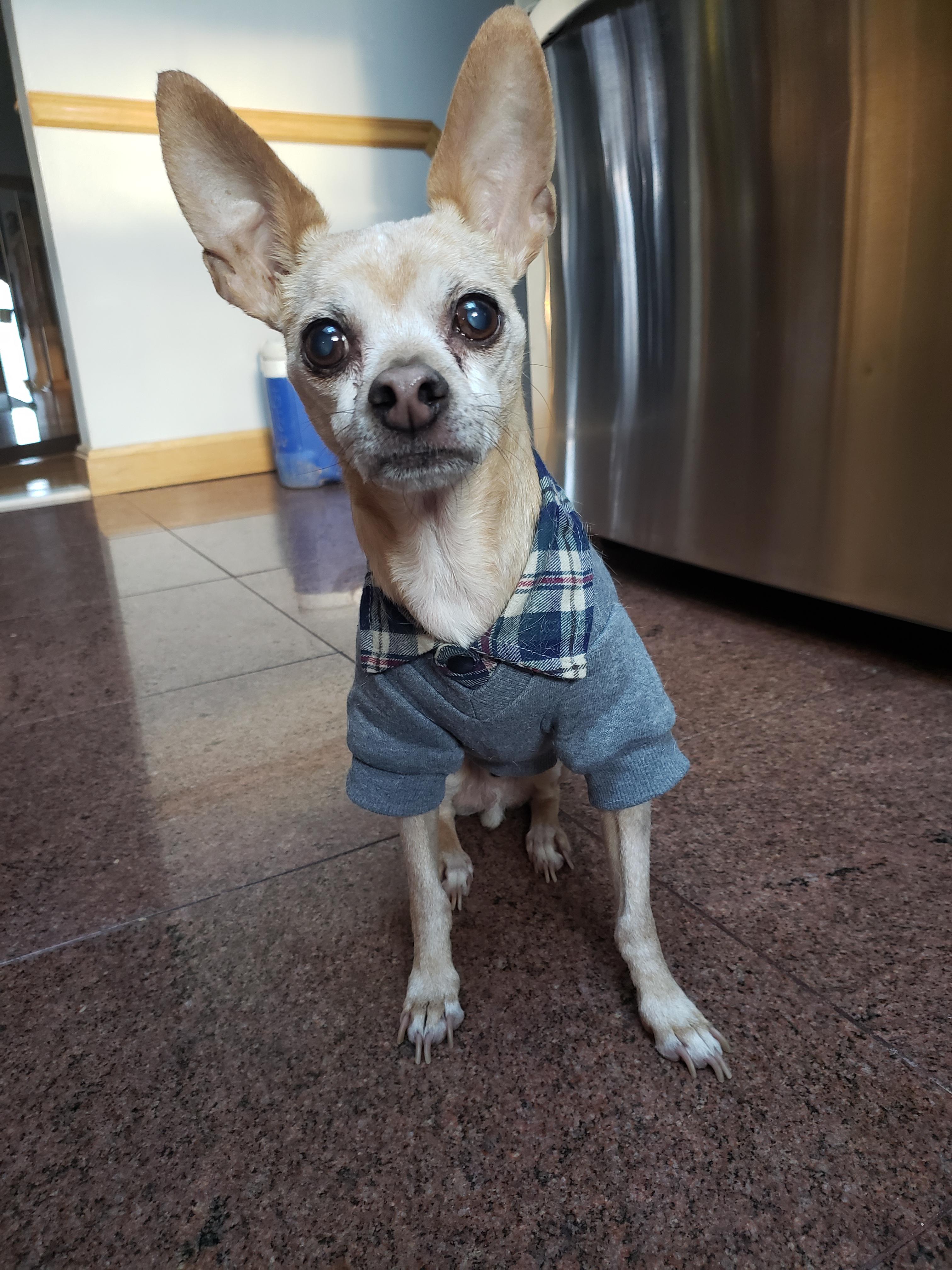 My 15 year old daughter is bragging about her new jacket! I would like to