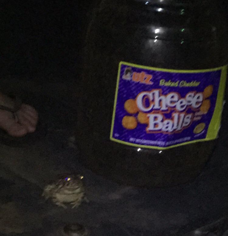 Cheese balls r/meme