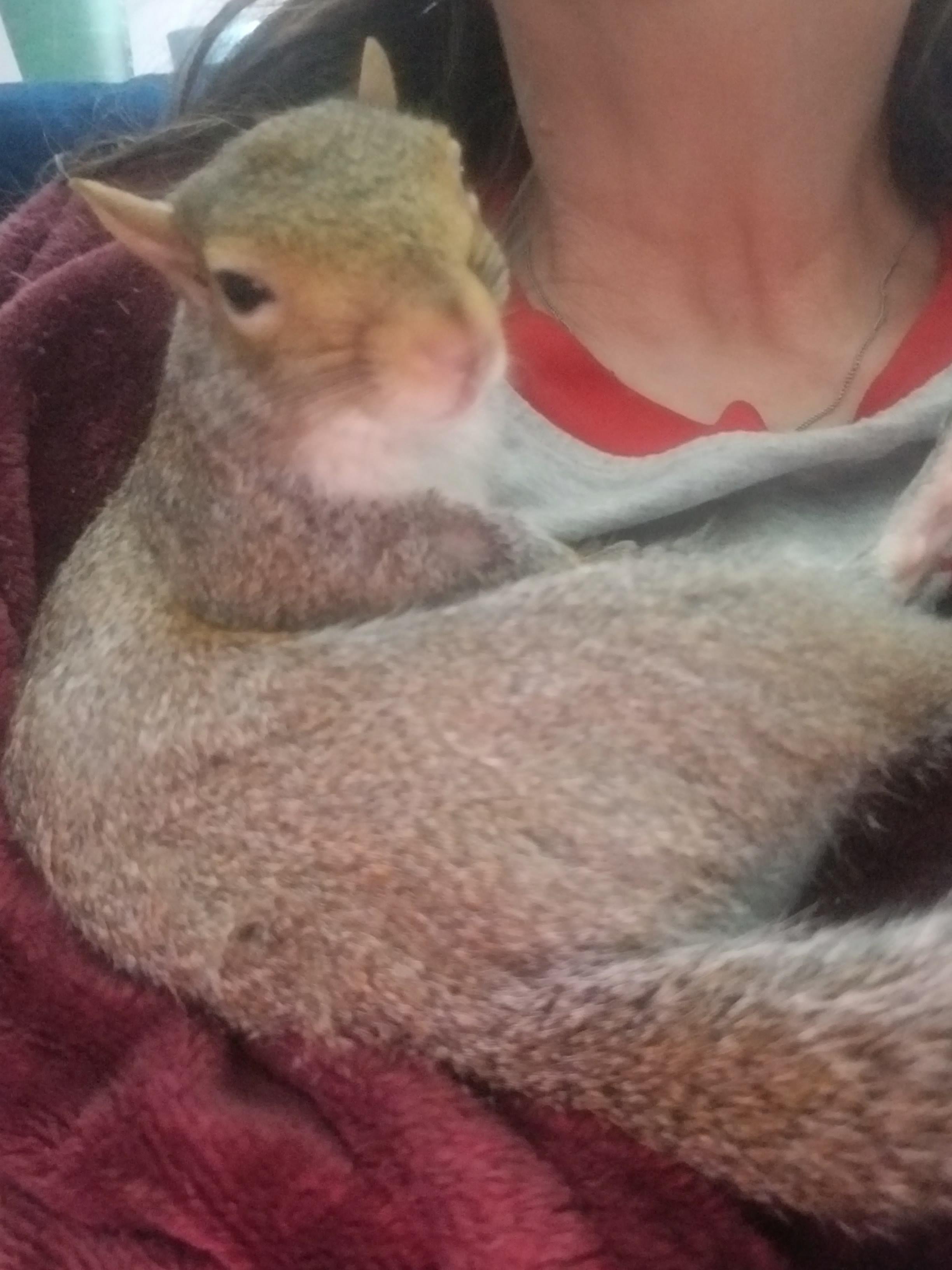 She did not appreciate him opening the bedroom door and startling her