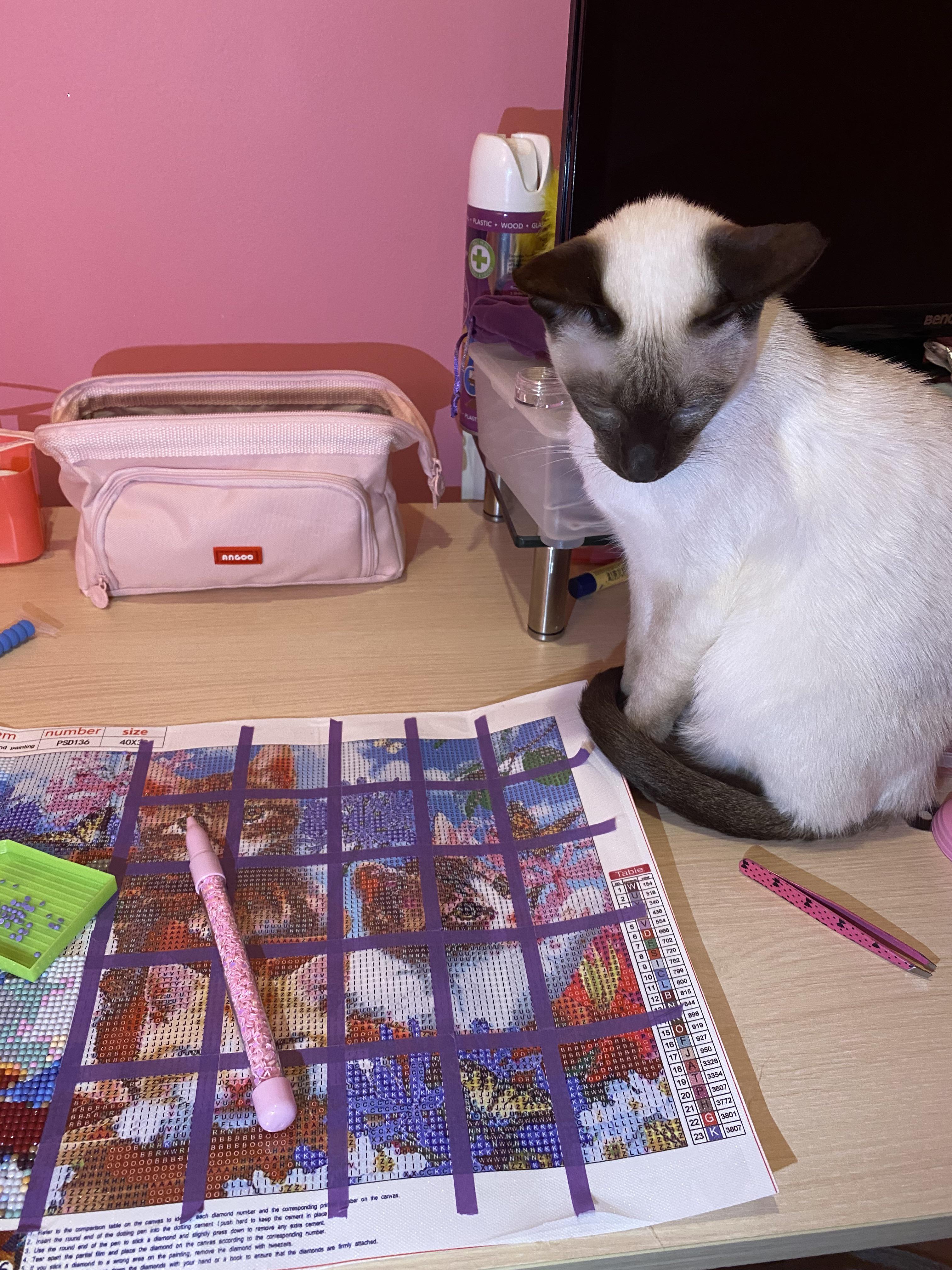 Best place to buy diamond paintings in the UK? I’ve bought a few cheap