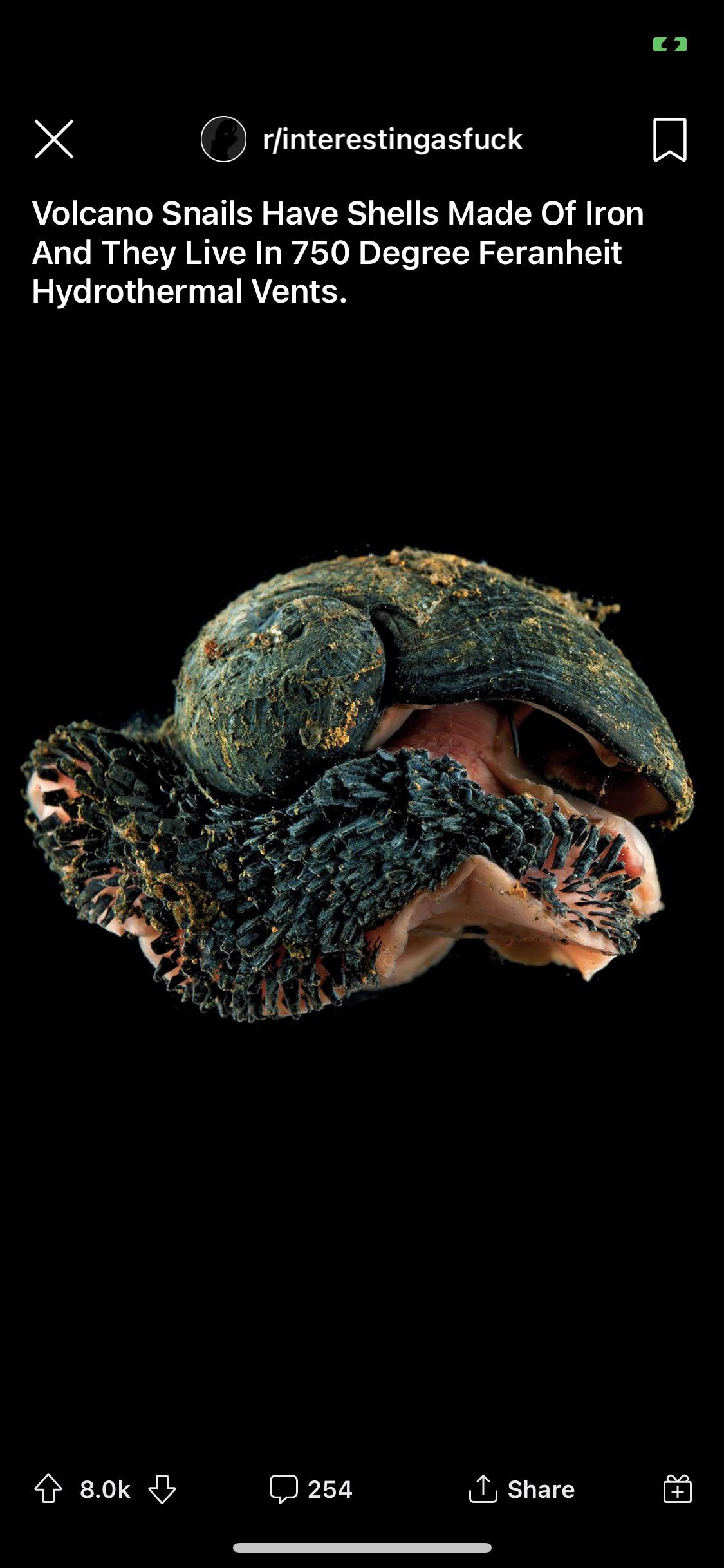 🔥 Volcano snails have a shell made out of iron and live in 750F