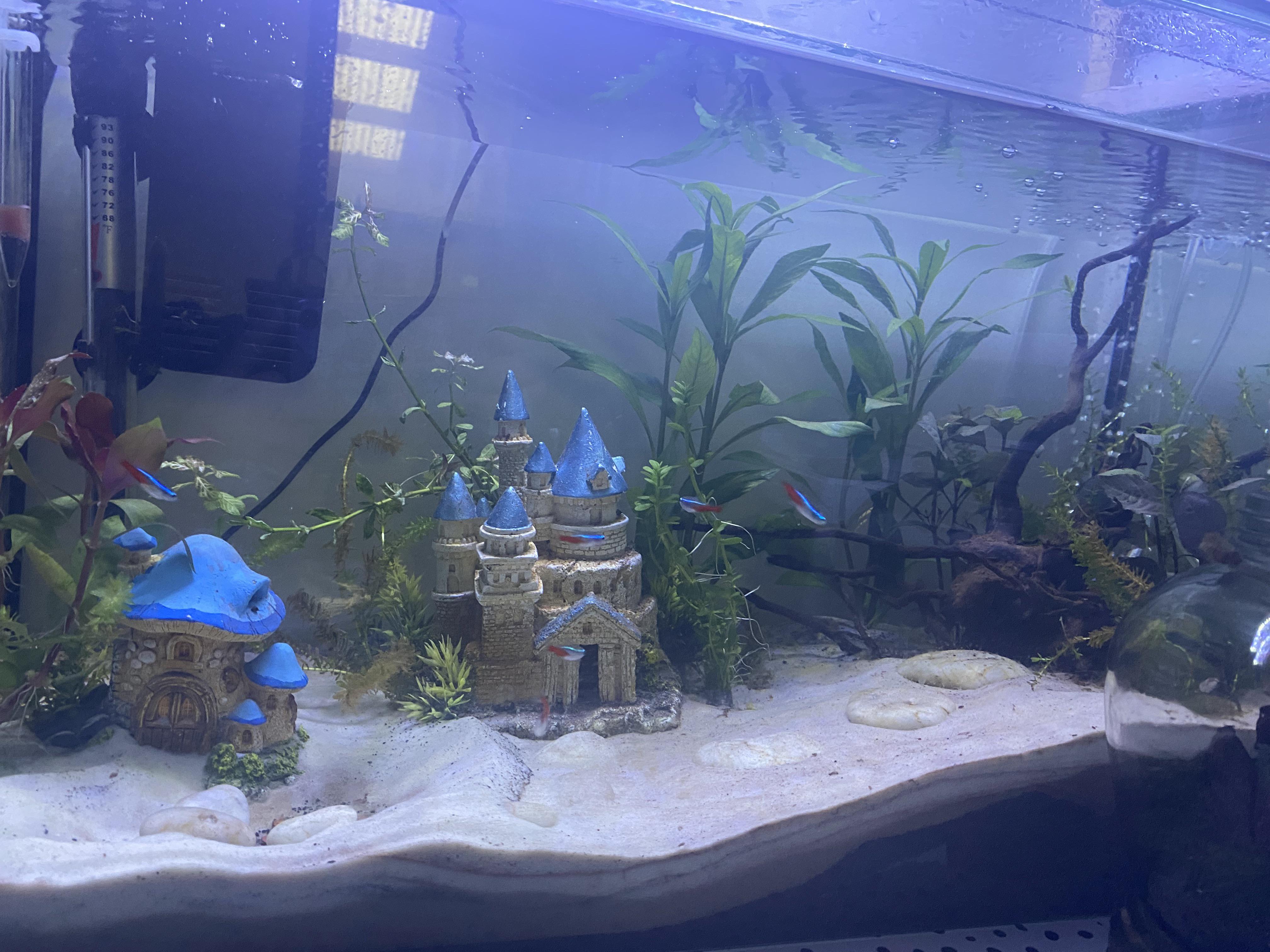 Tank update after heater malfunction and it exploding overnight killing