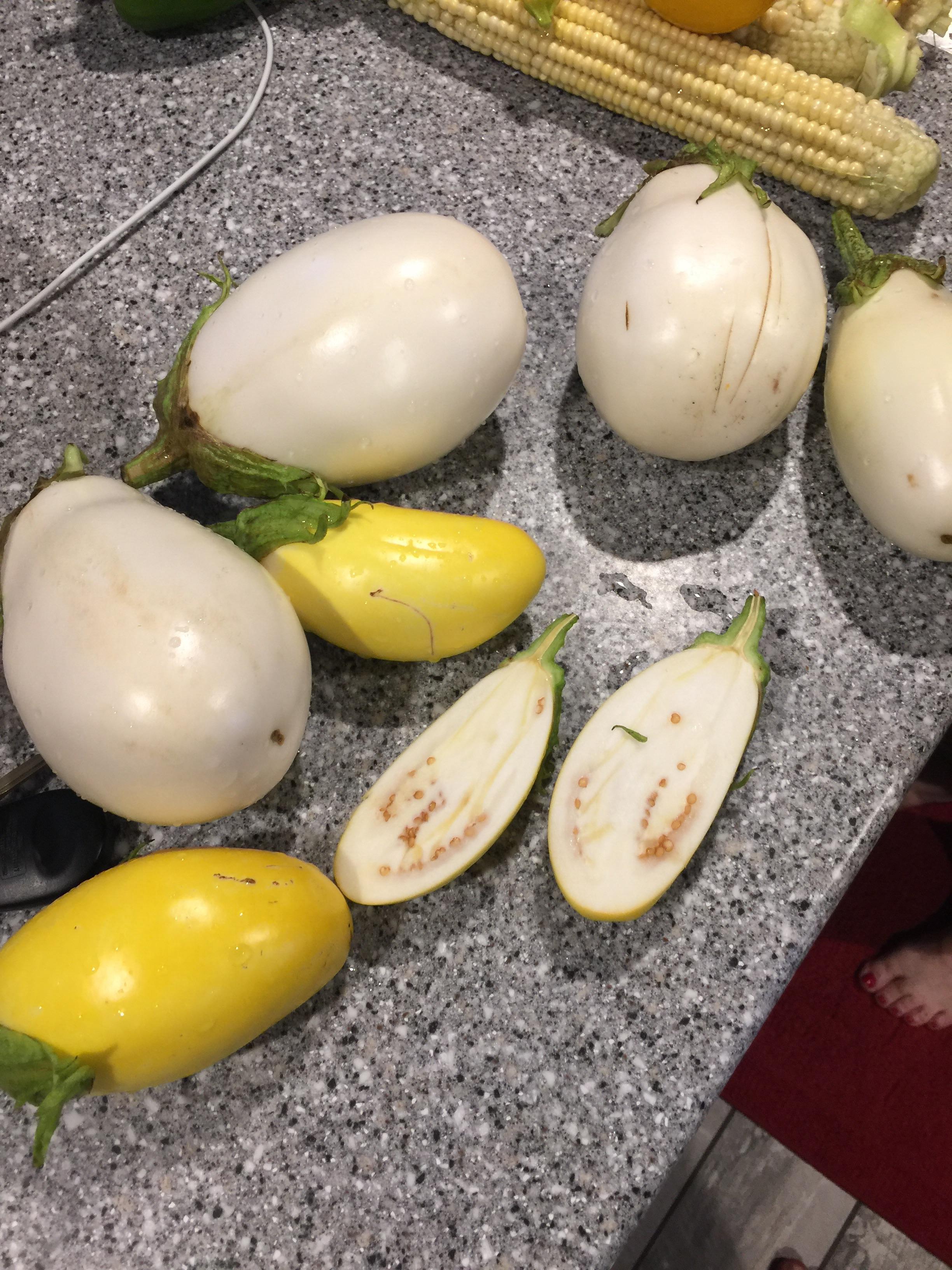 Why did some of my white egg plant grow yellow? r/gardening