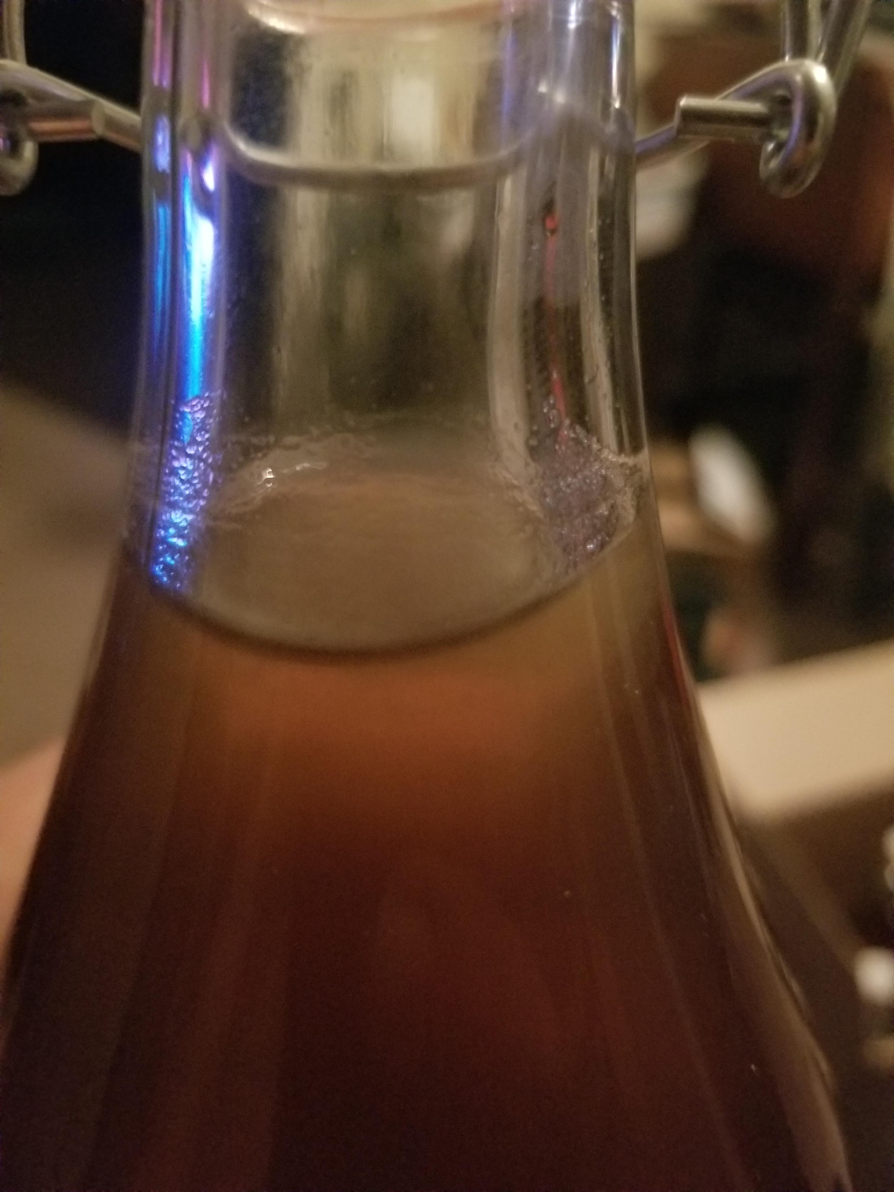 Is this bad? r/mead