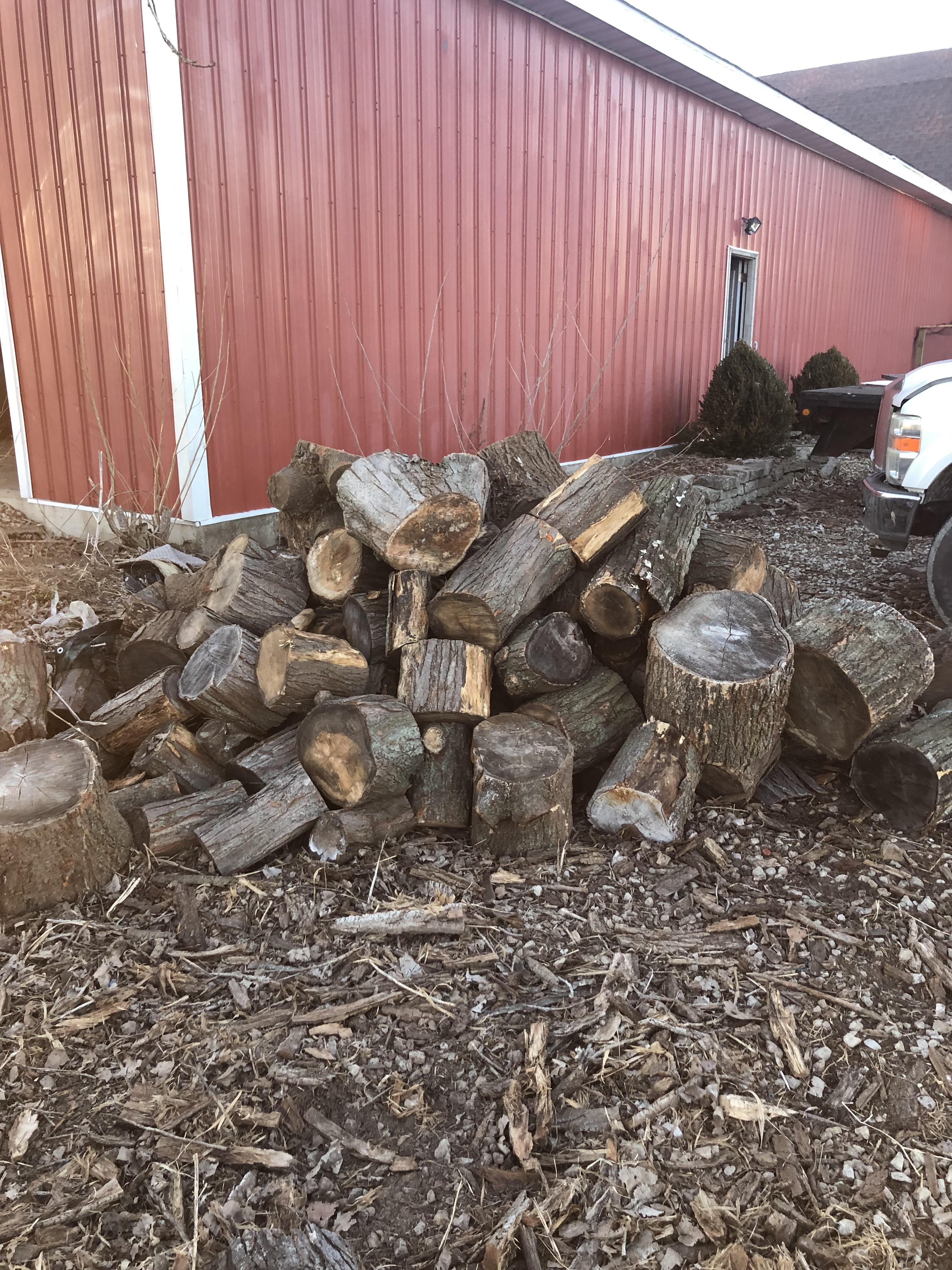 Free load of wood...said wood stoves are too much of a pain. r/firewood