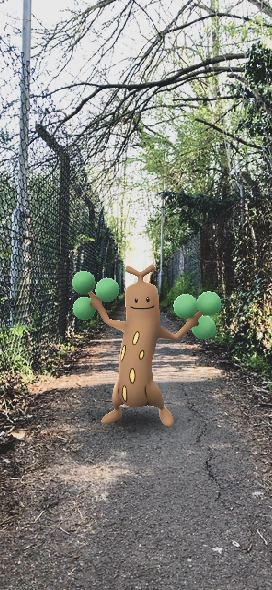 This tree looks like it can be CUT down! r/PokemonGoSnap