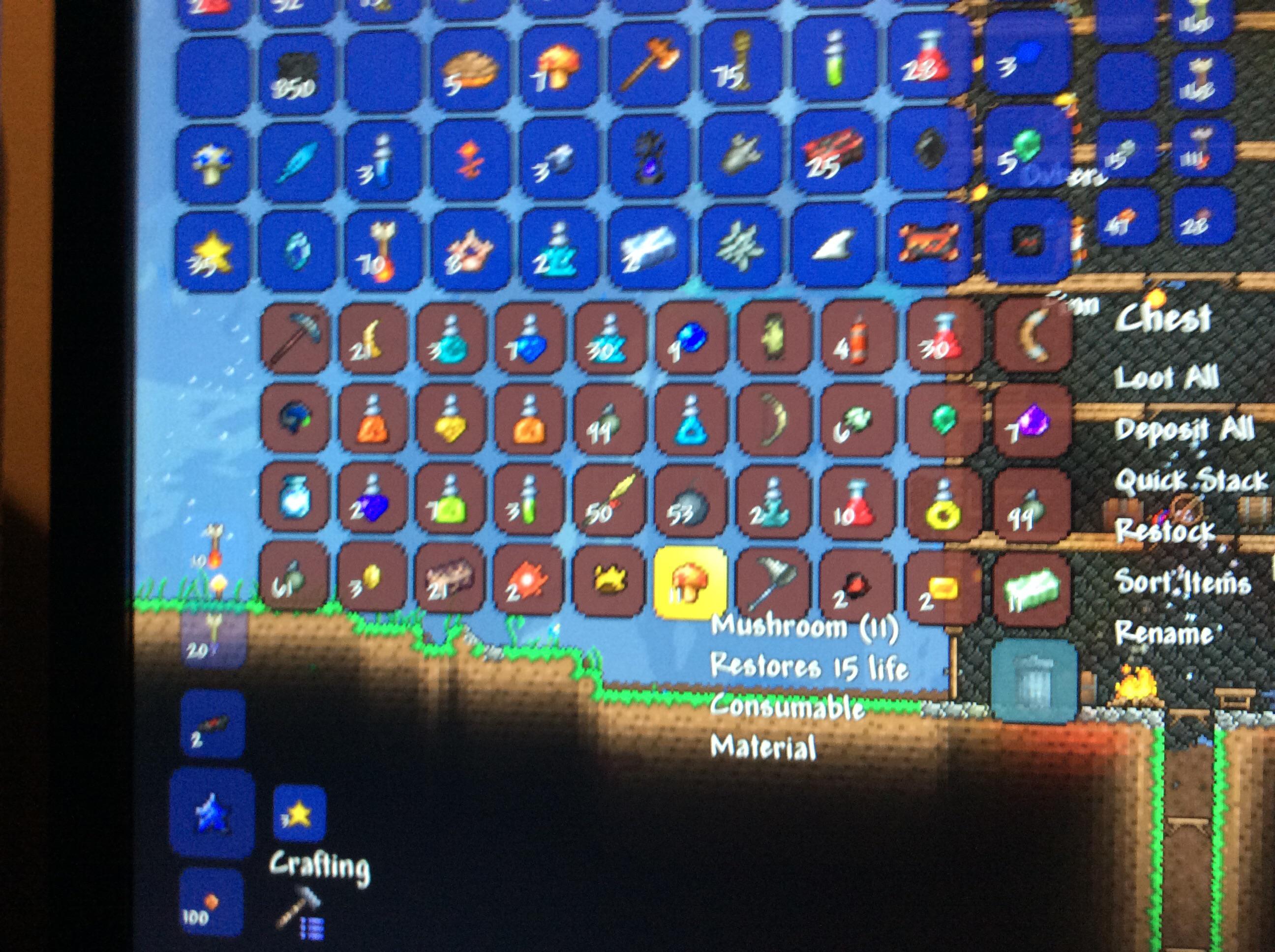 Trading Every thing in the chest r/Terraria