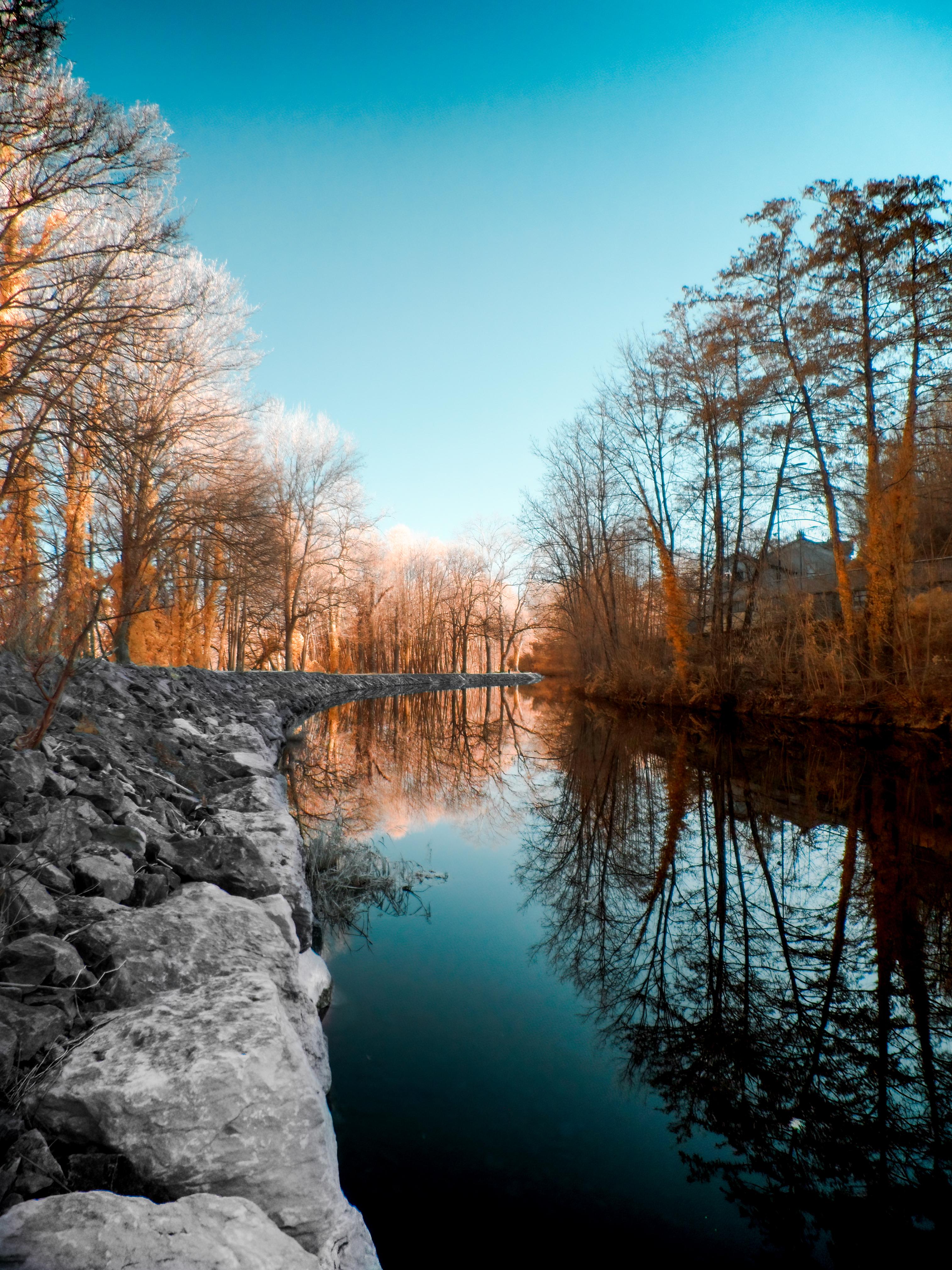 IR on the cheap: Samsung WB210 full spectrum + 590nm filter (more in