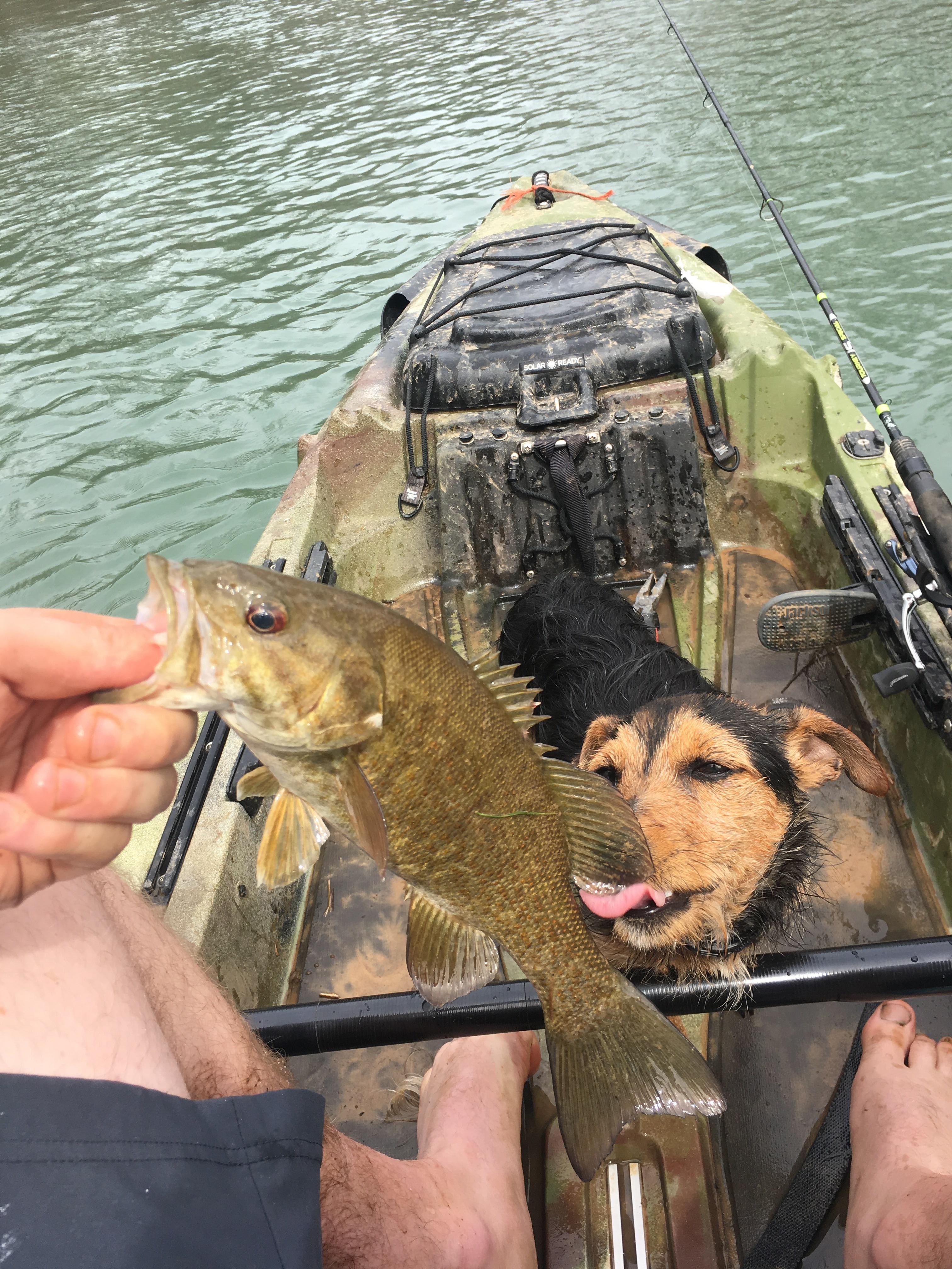 The only fish I caught all day. Calfkiller Sparta, TN r/Fishing