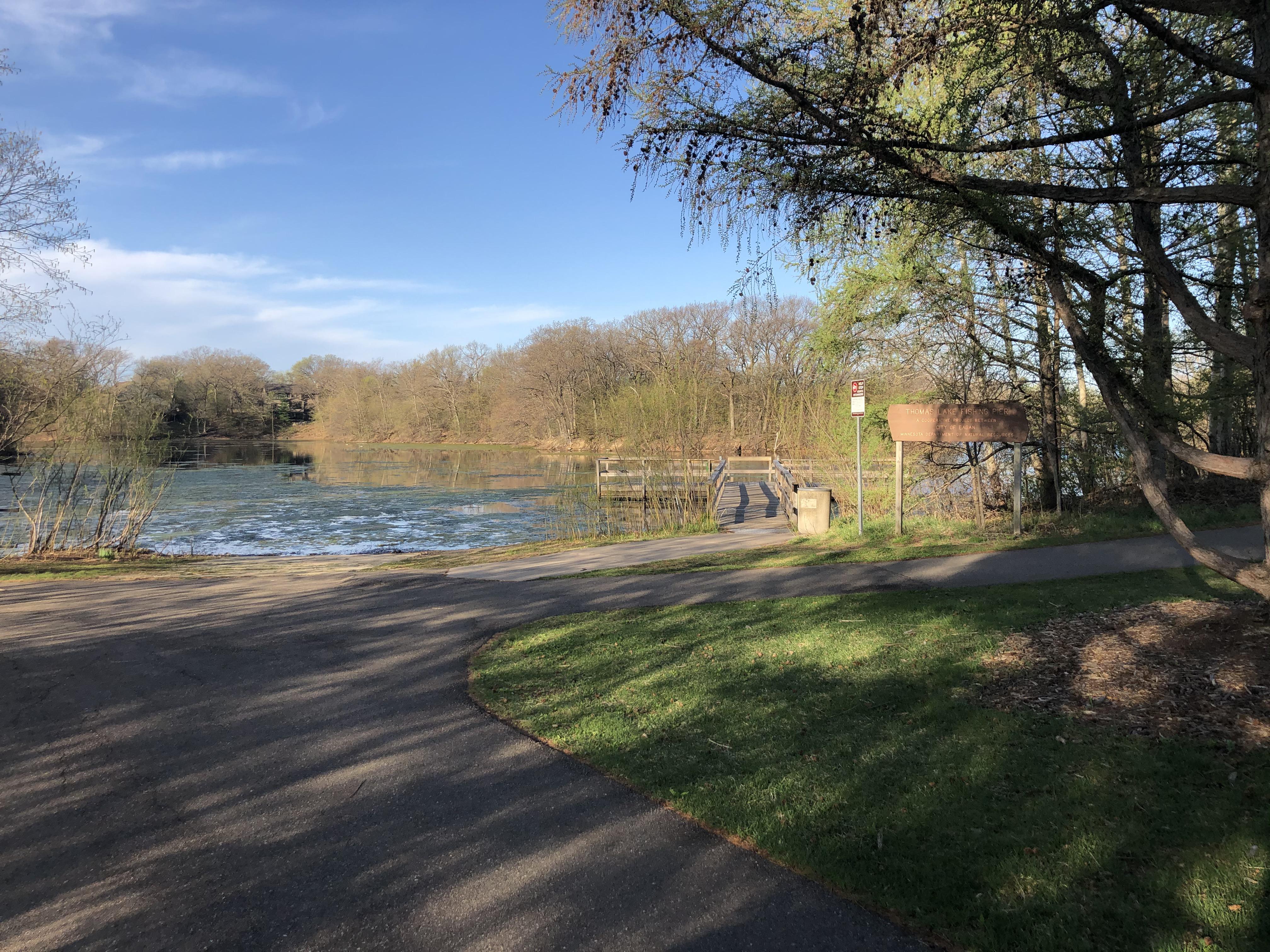 6 best u/polluxcuttino images on Pholder Leopardgeckos, Minnesota and