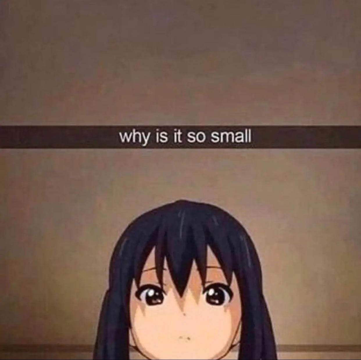 why is it so small r/animememes