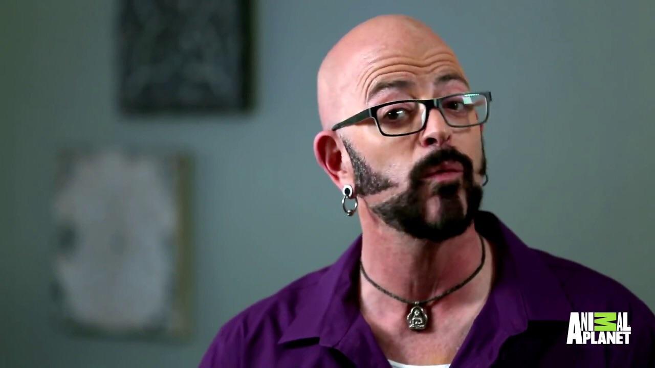 Jackson Galaxy’s beard? r/ATBGE