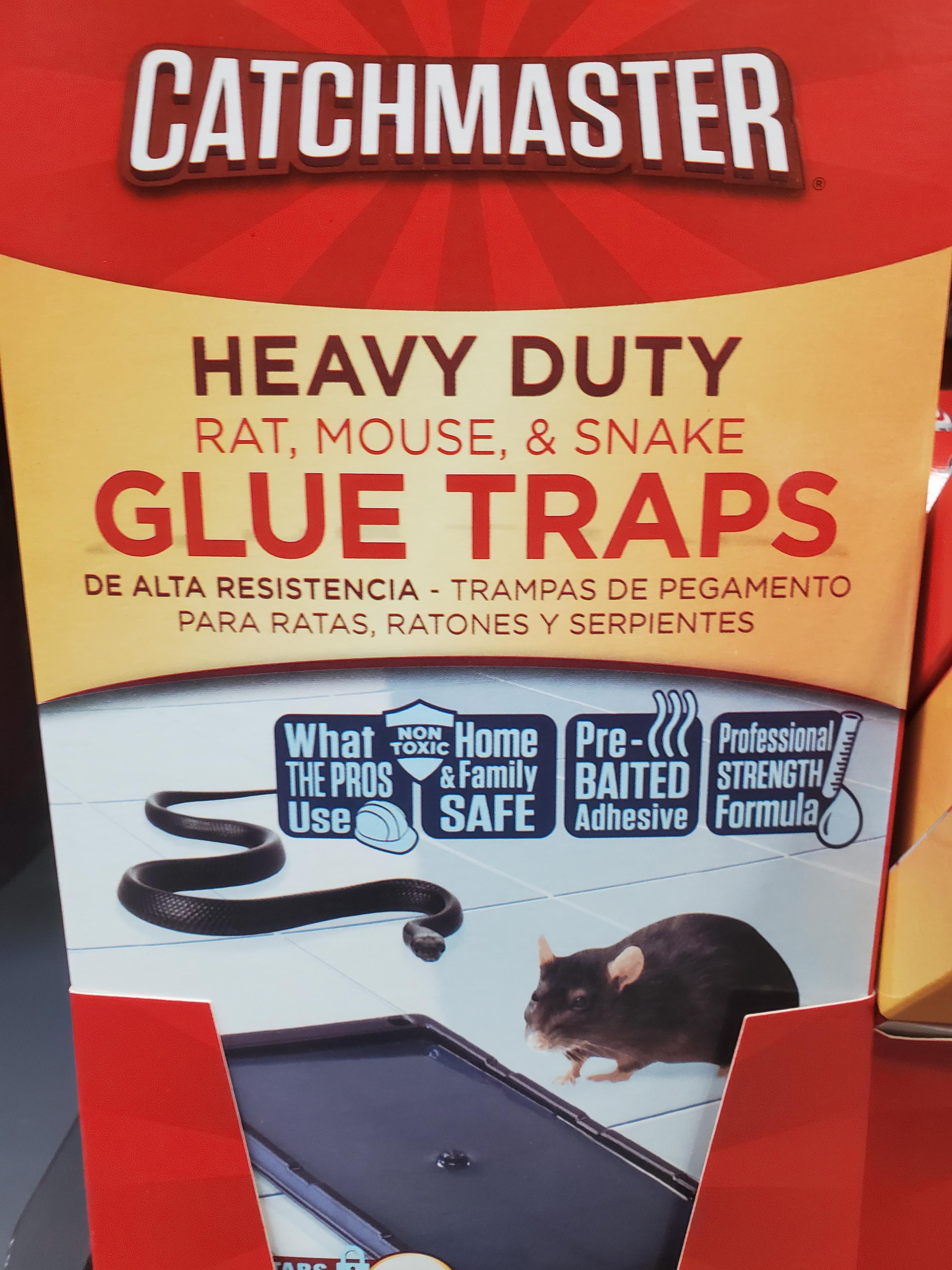 I am disgusted by people sometimes. r/snakes