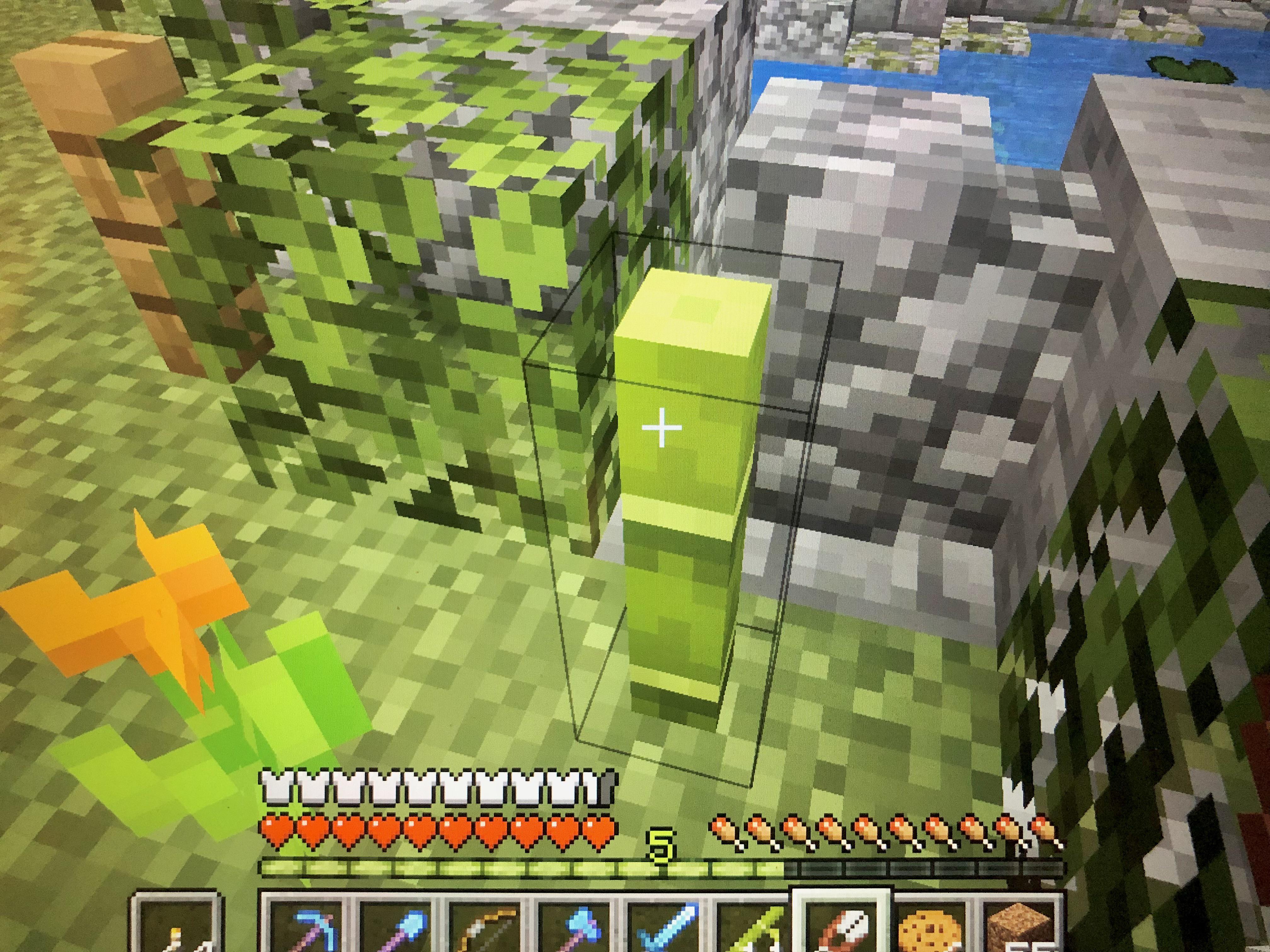 Does anyone know how to stop bamboo growth? I’ve tried right clicking