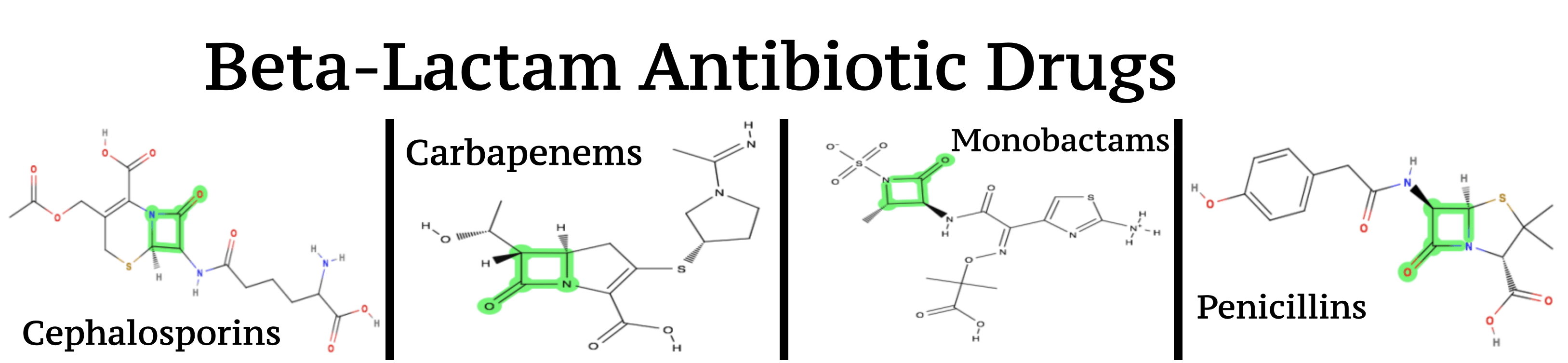 Concept Map Bacterial Cell Wall Mastering Bacterial Cell Wall Concept Map Map