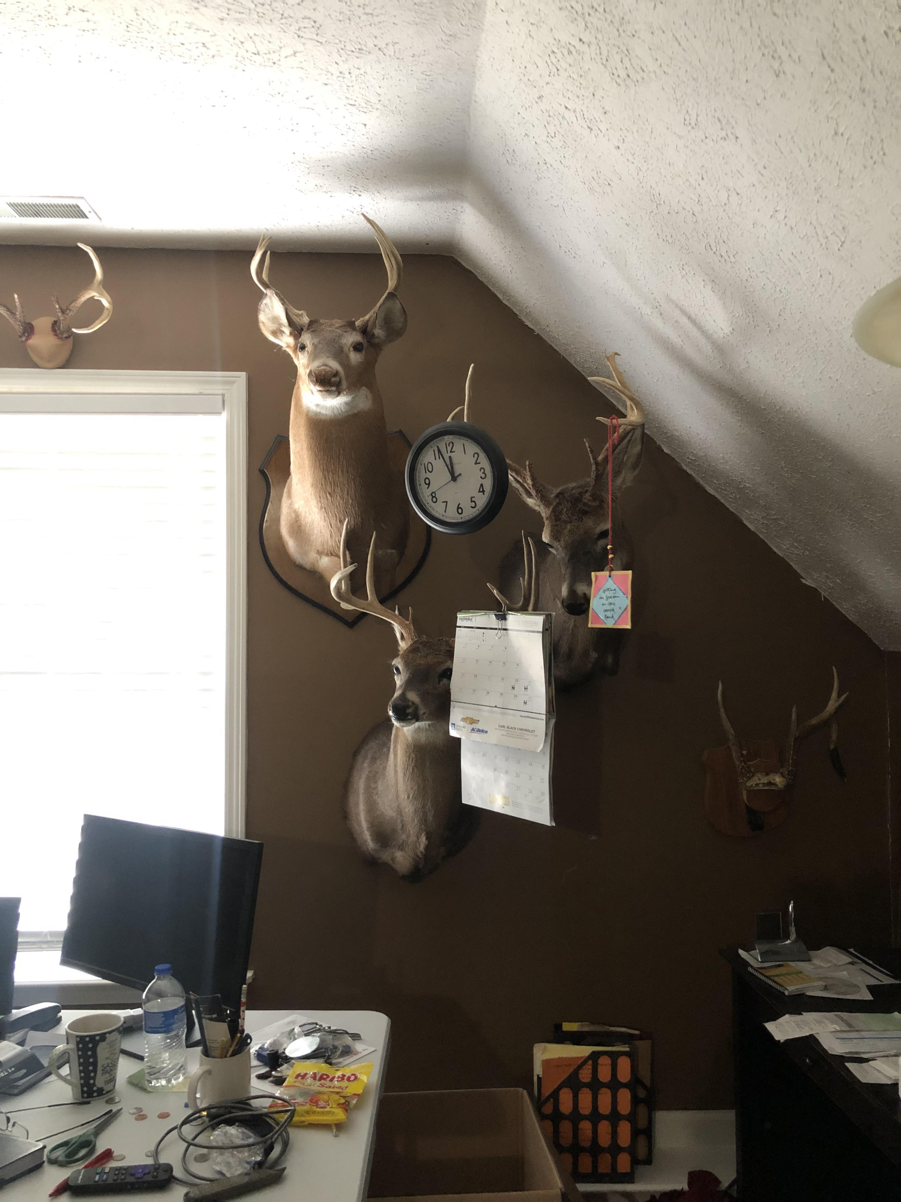 Father in law uses deer antlers to hold up calendar and clock in his