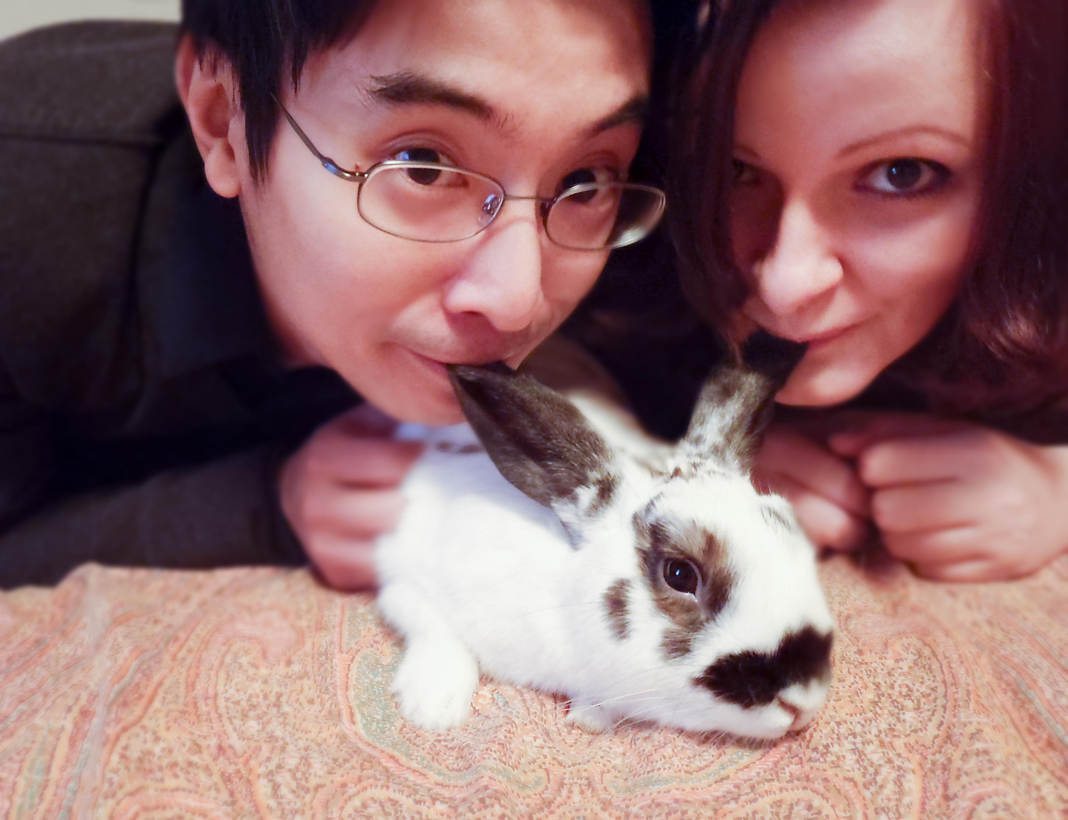 They say rabbit ears are a true delicacy... r/Rabbits