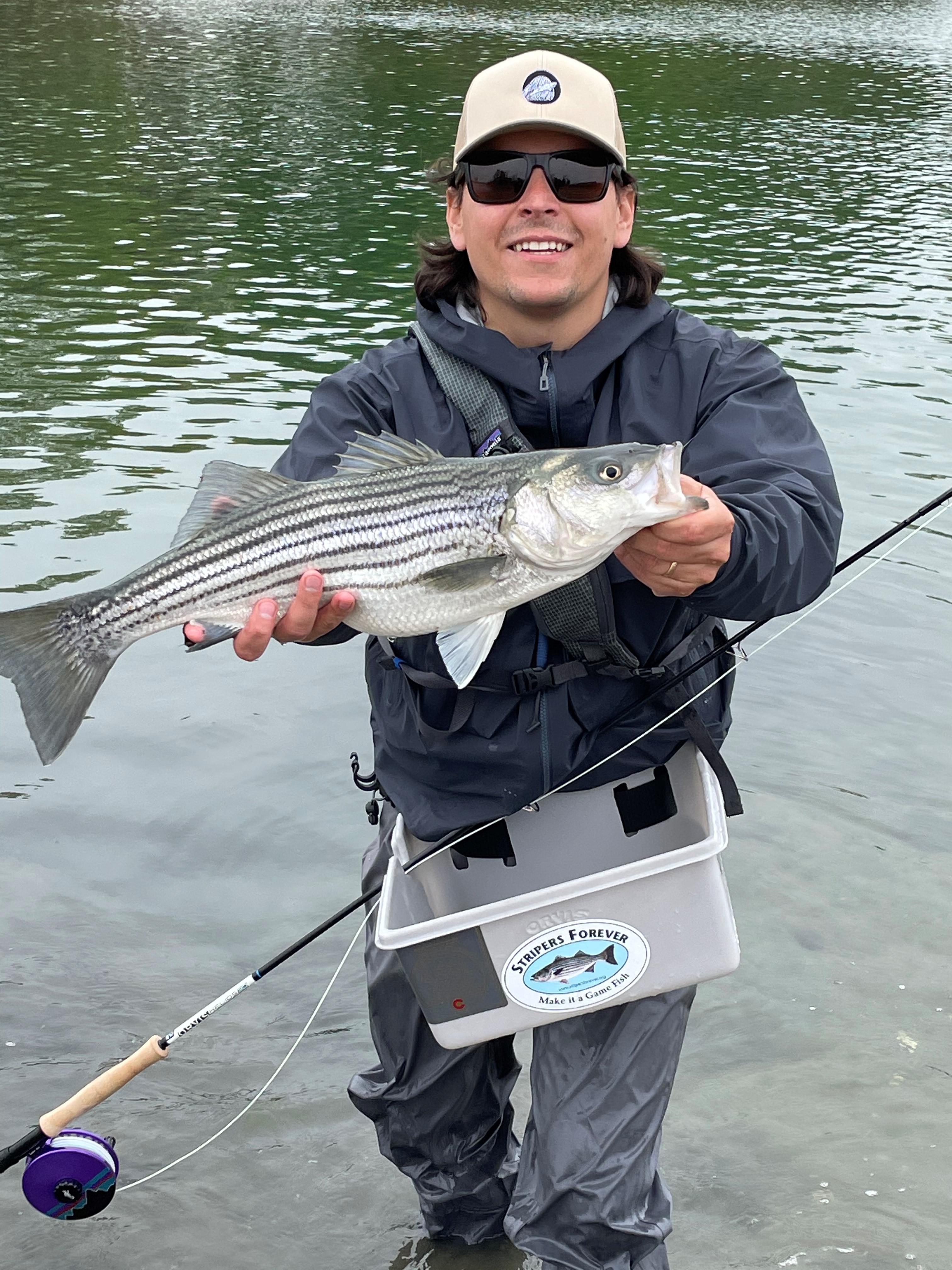 Striped Bass north shore long island r/flyfishing