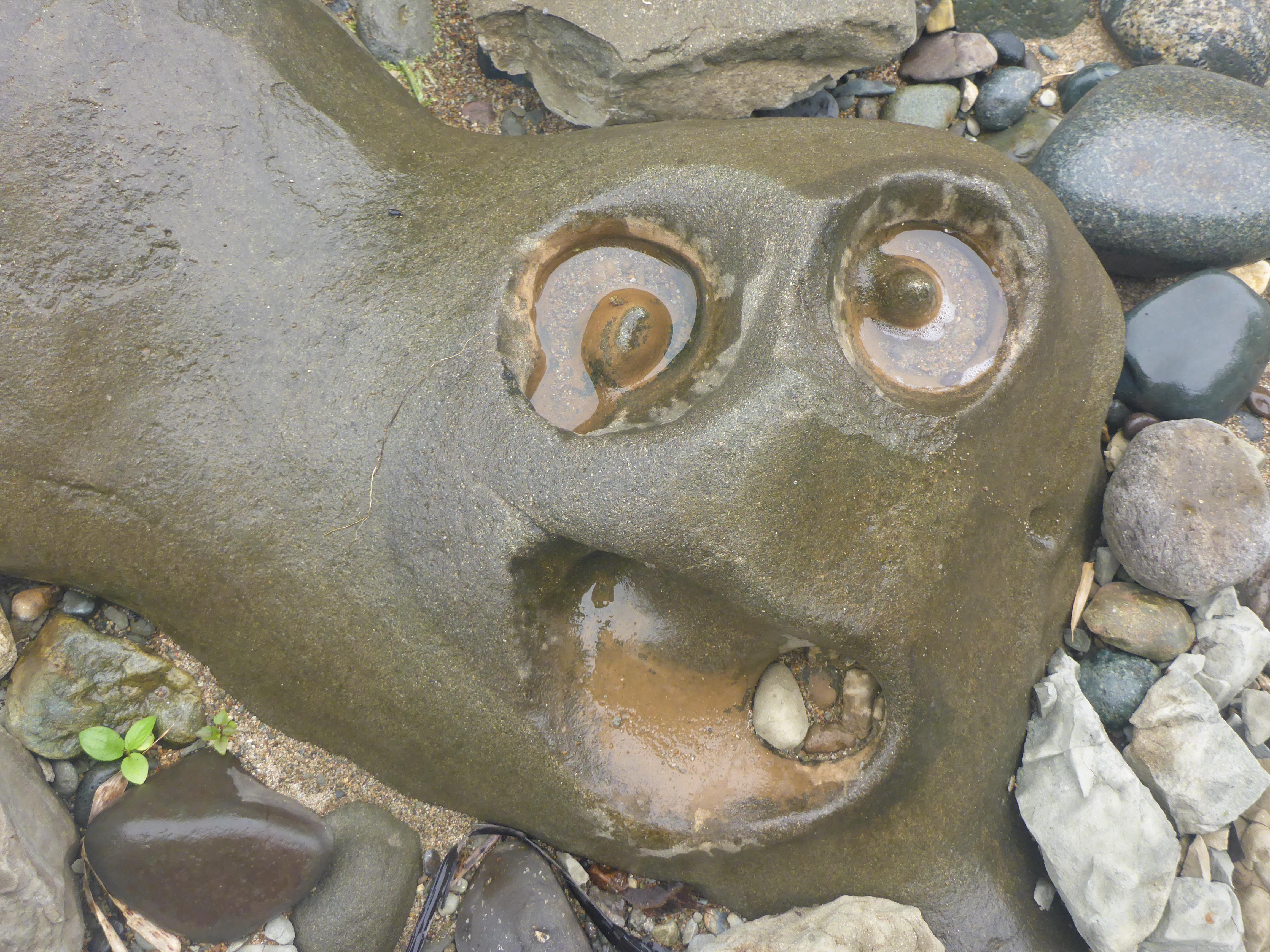 PsBattle An eroded rock.