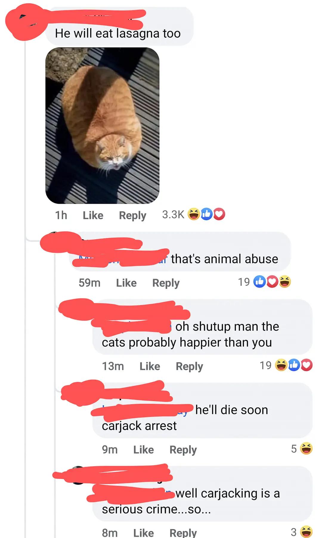 Carjack arrest r/BoneAppleTea