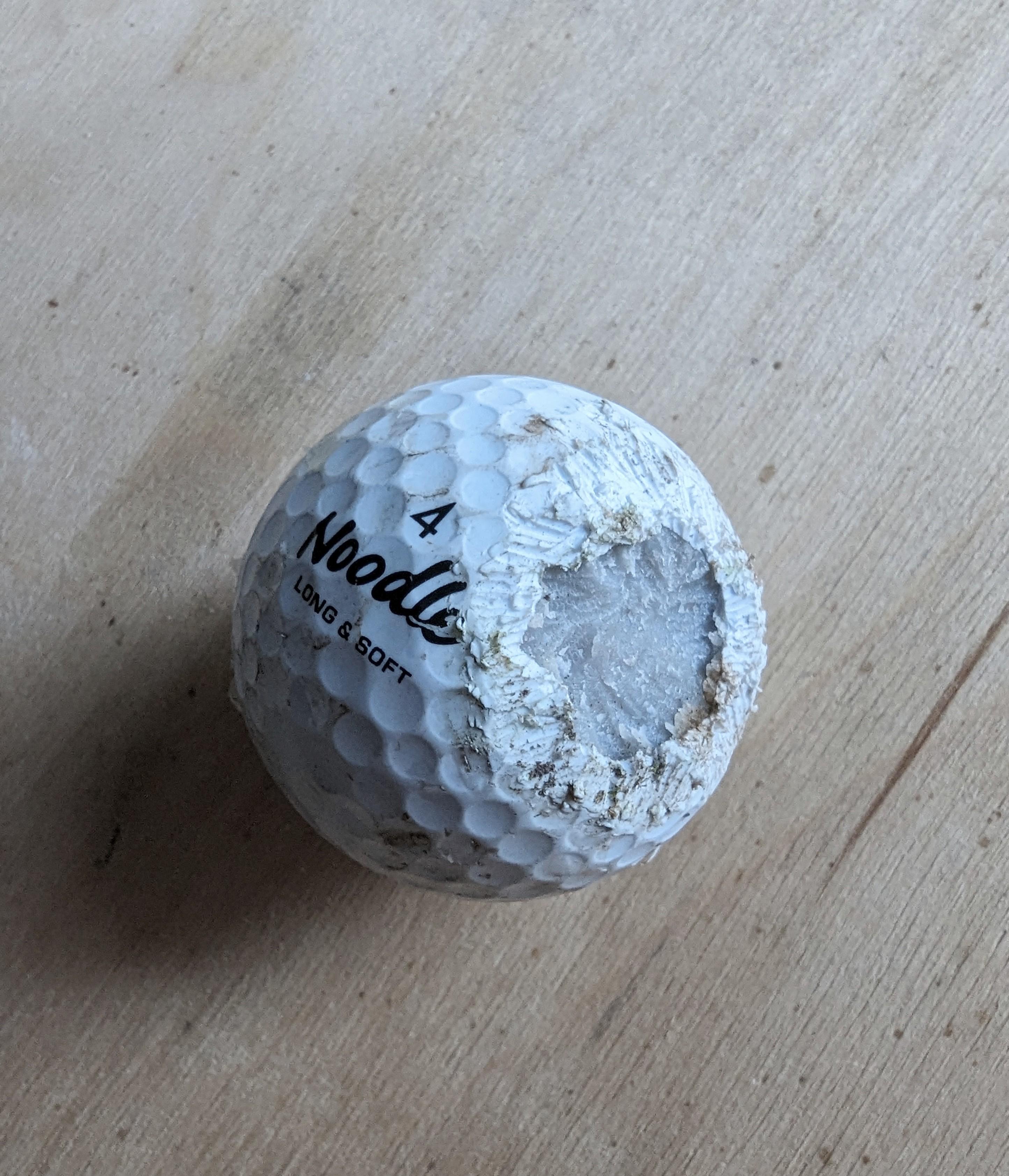Making golf balls out of noodles was a bad idea. r/golf