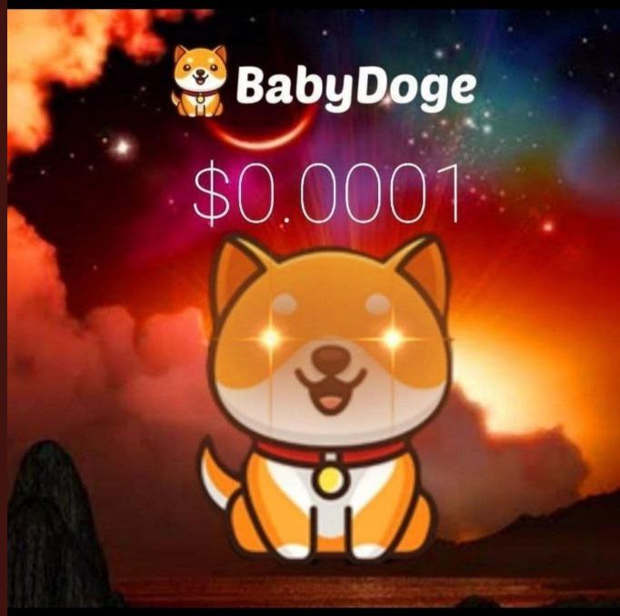 😍😍cutie baby Doge 😃😃 r/BABYDOGEARMY