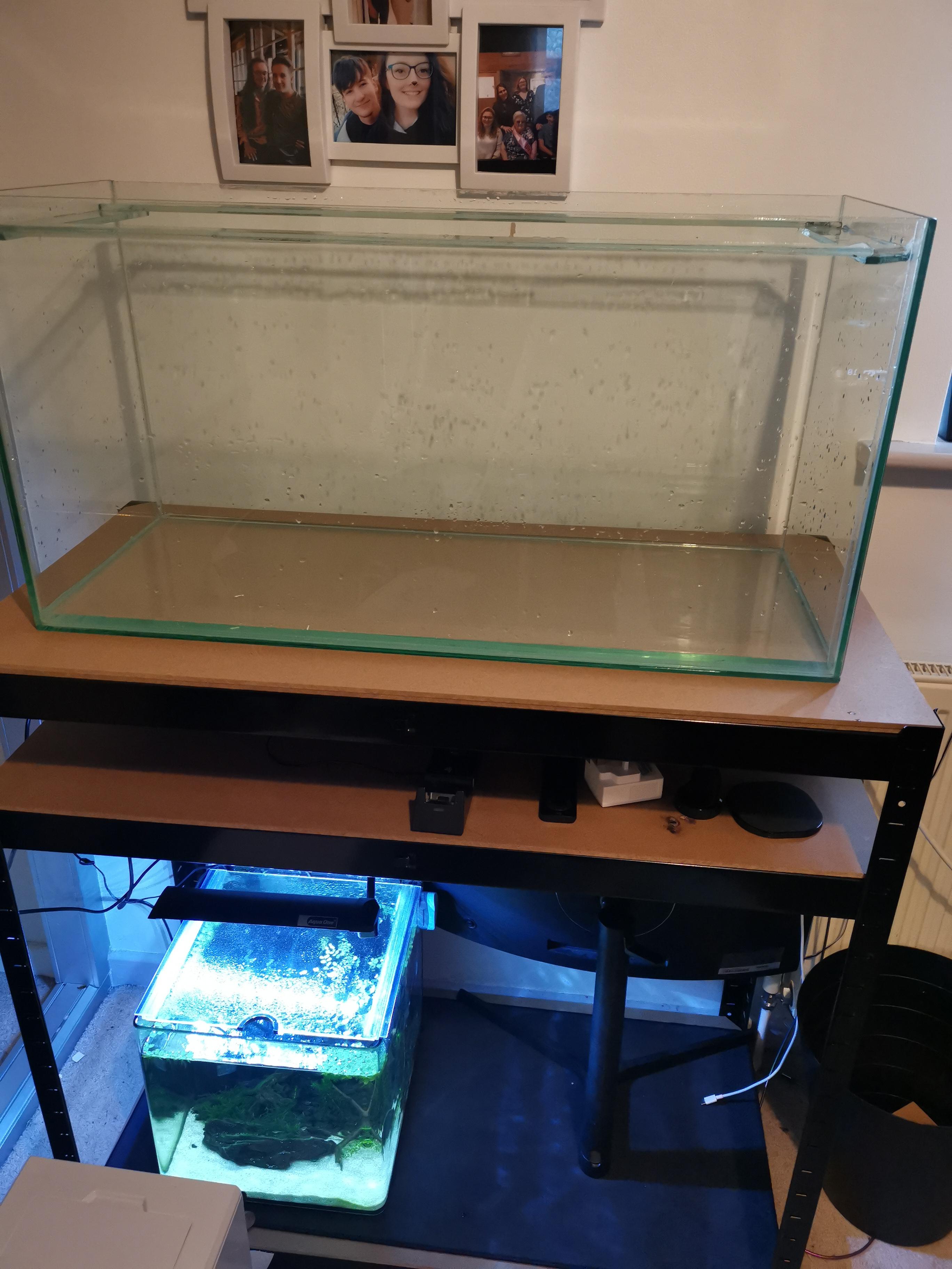 Any ideas for this tank not to expensive got about a 50 pound budget
