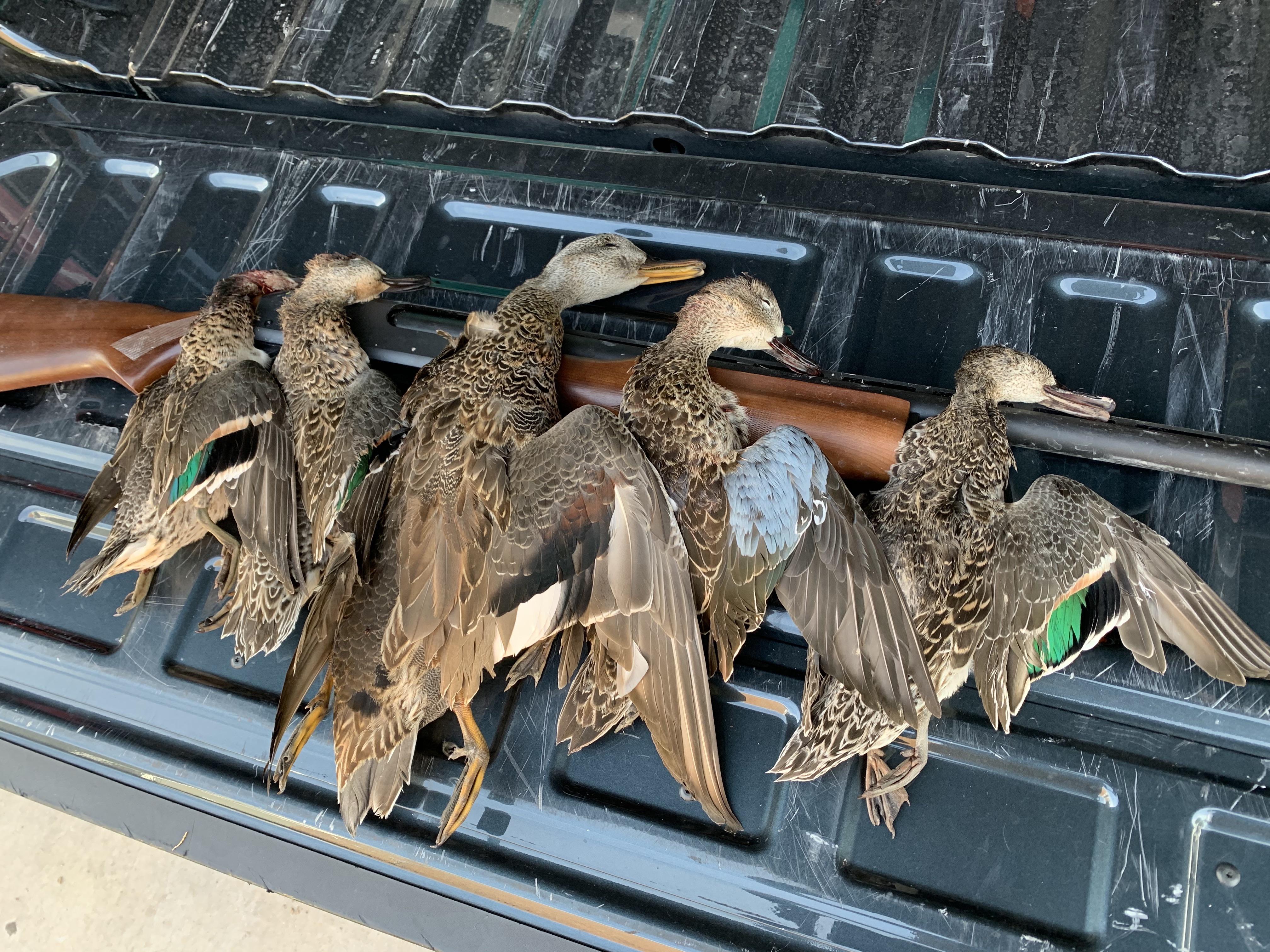 Hunting along the Rio Grande in West Texas netted me these fine ducks