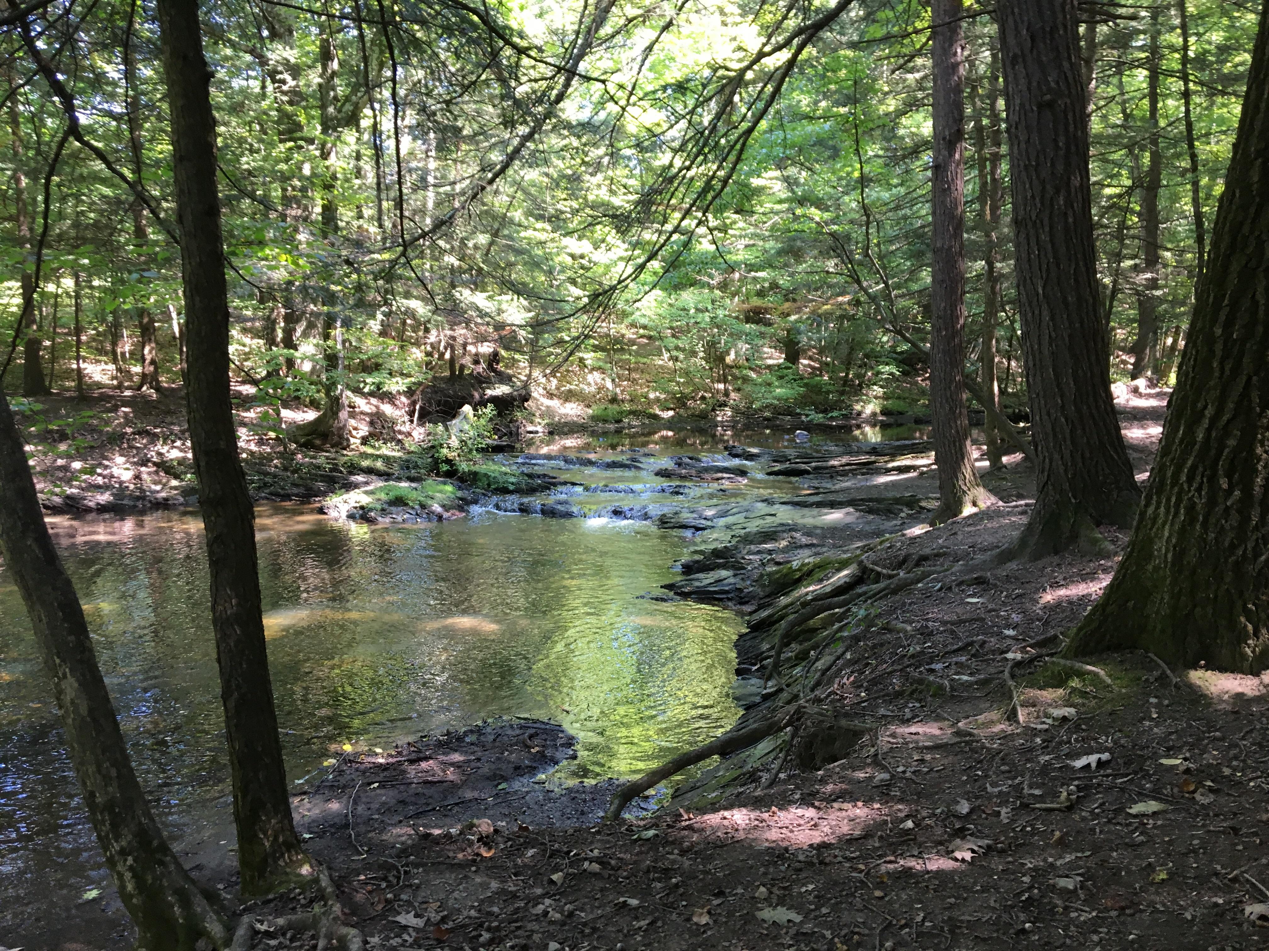 Schodack Town Park r/Albany