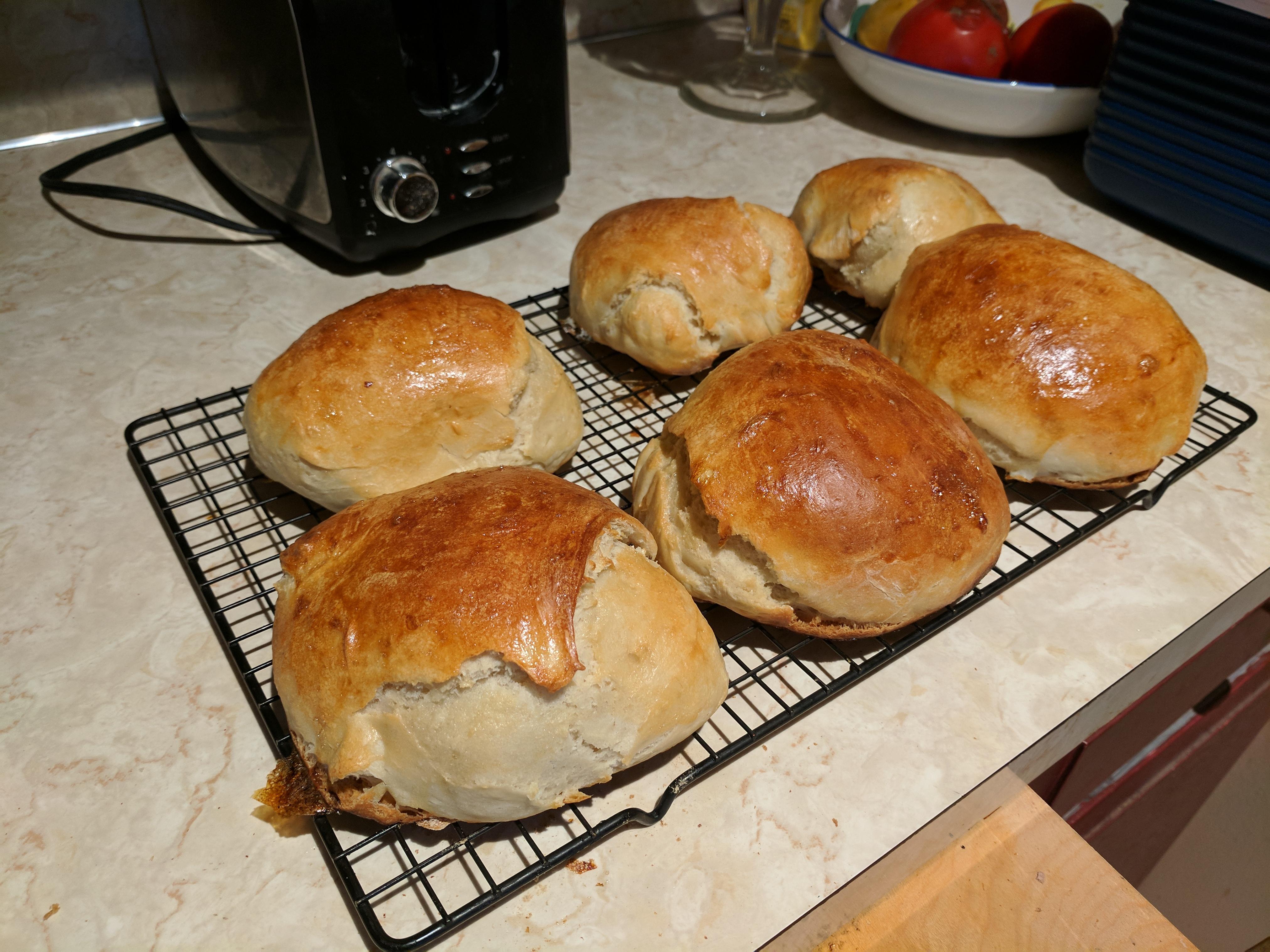 First try at making bread bowls. Breadit