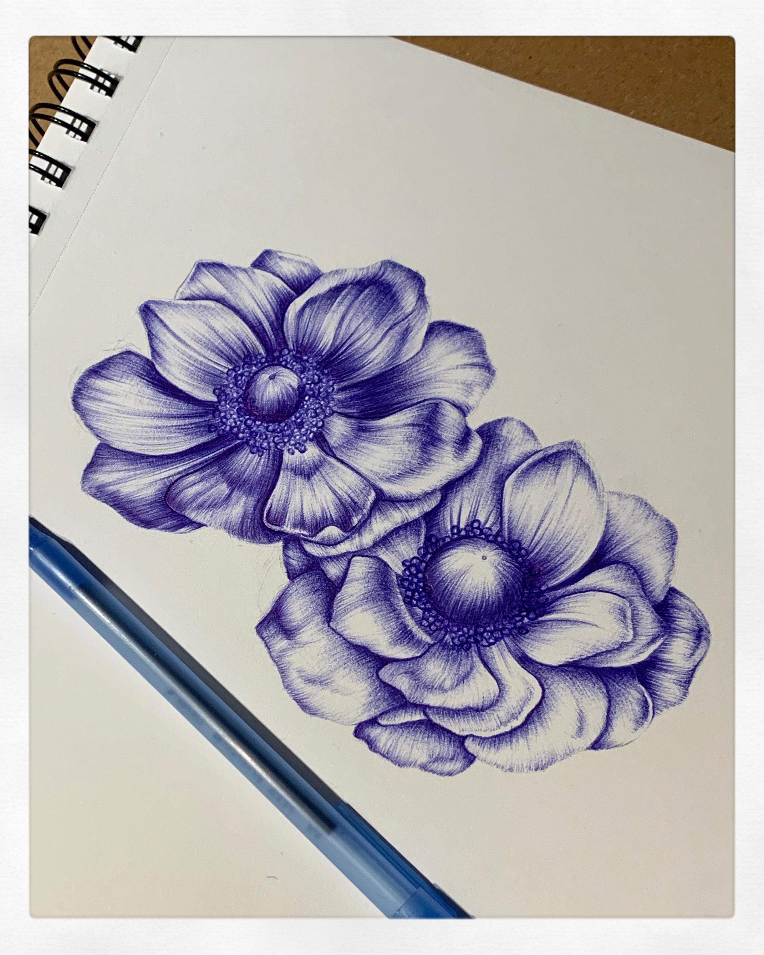 Ballpoint Pen Drawings Of Flowers